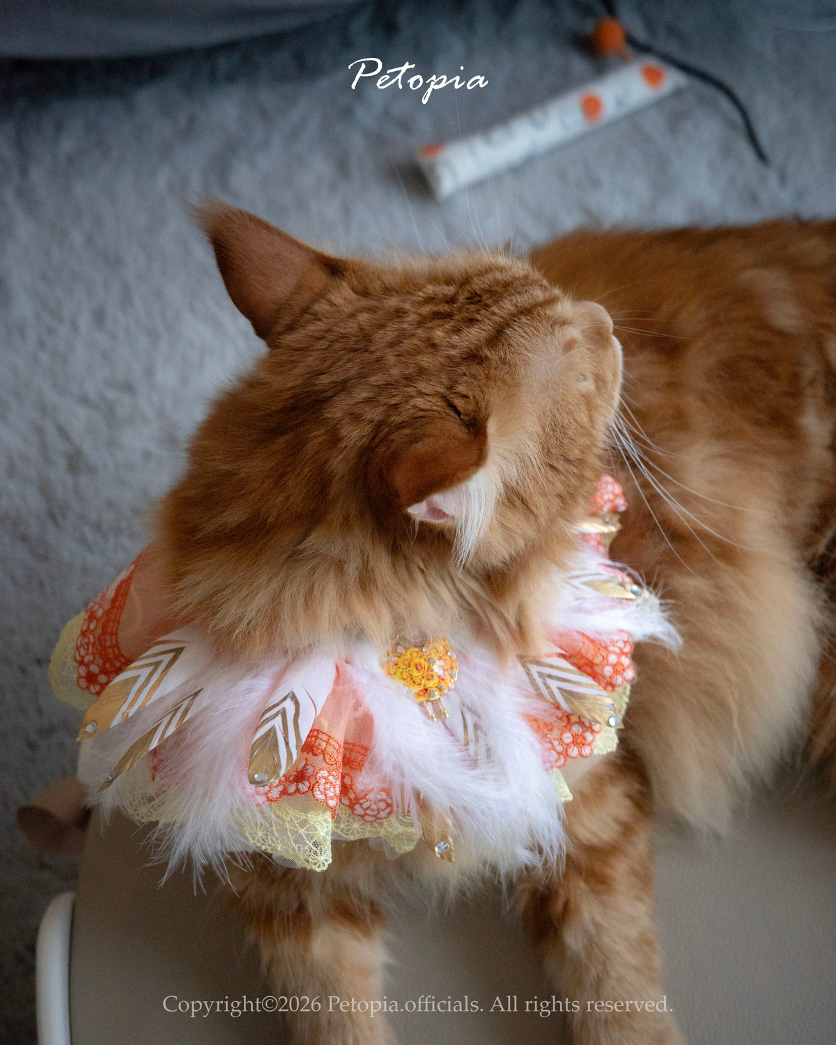 Nephele's Feather (Aries)