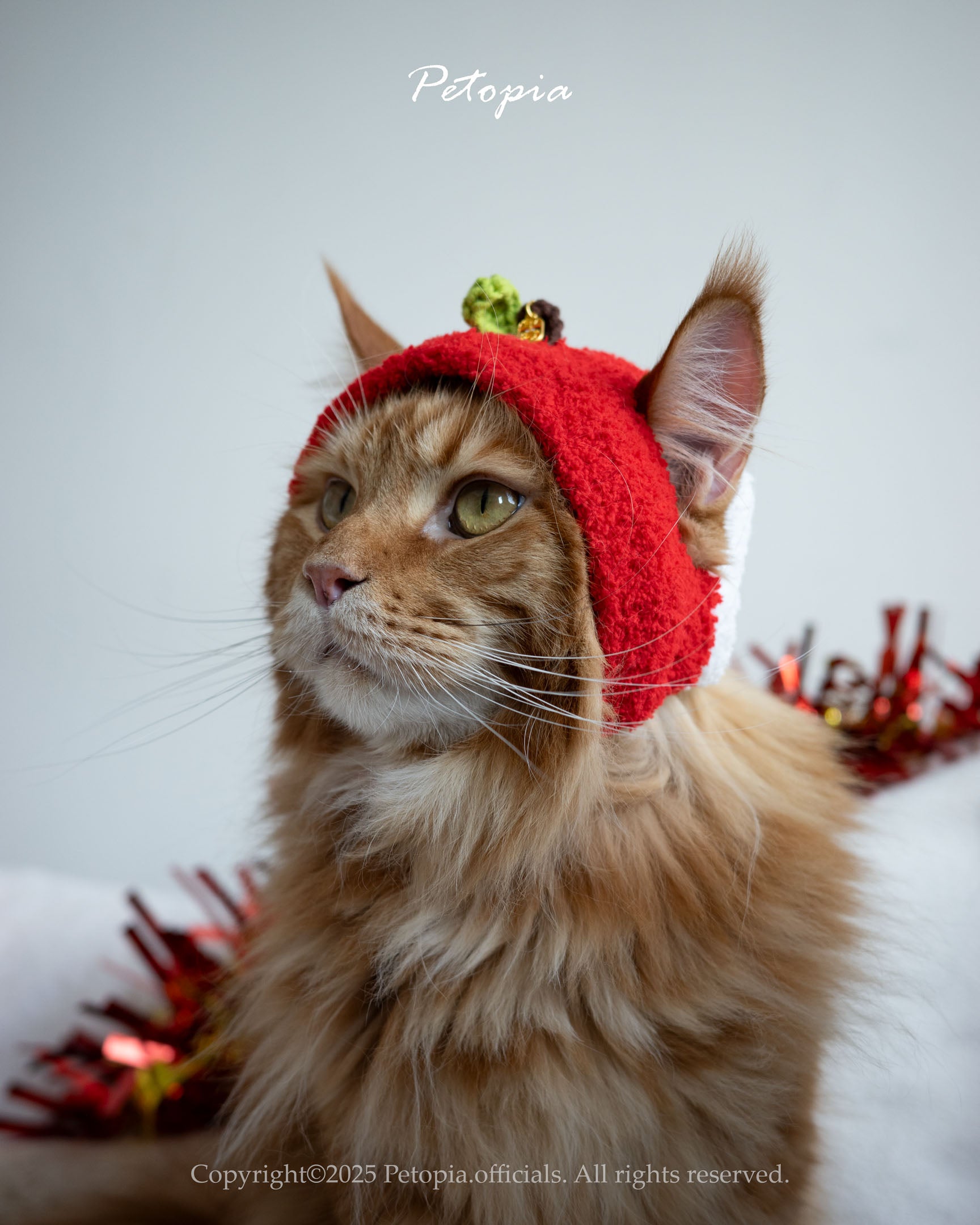 Peaceful Apple Hat (In Stock)