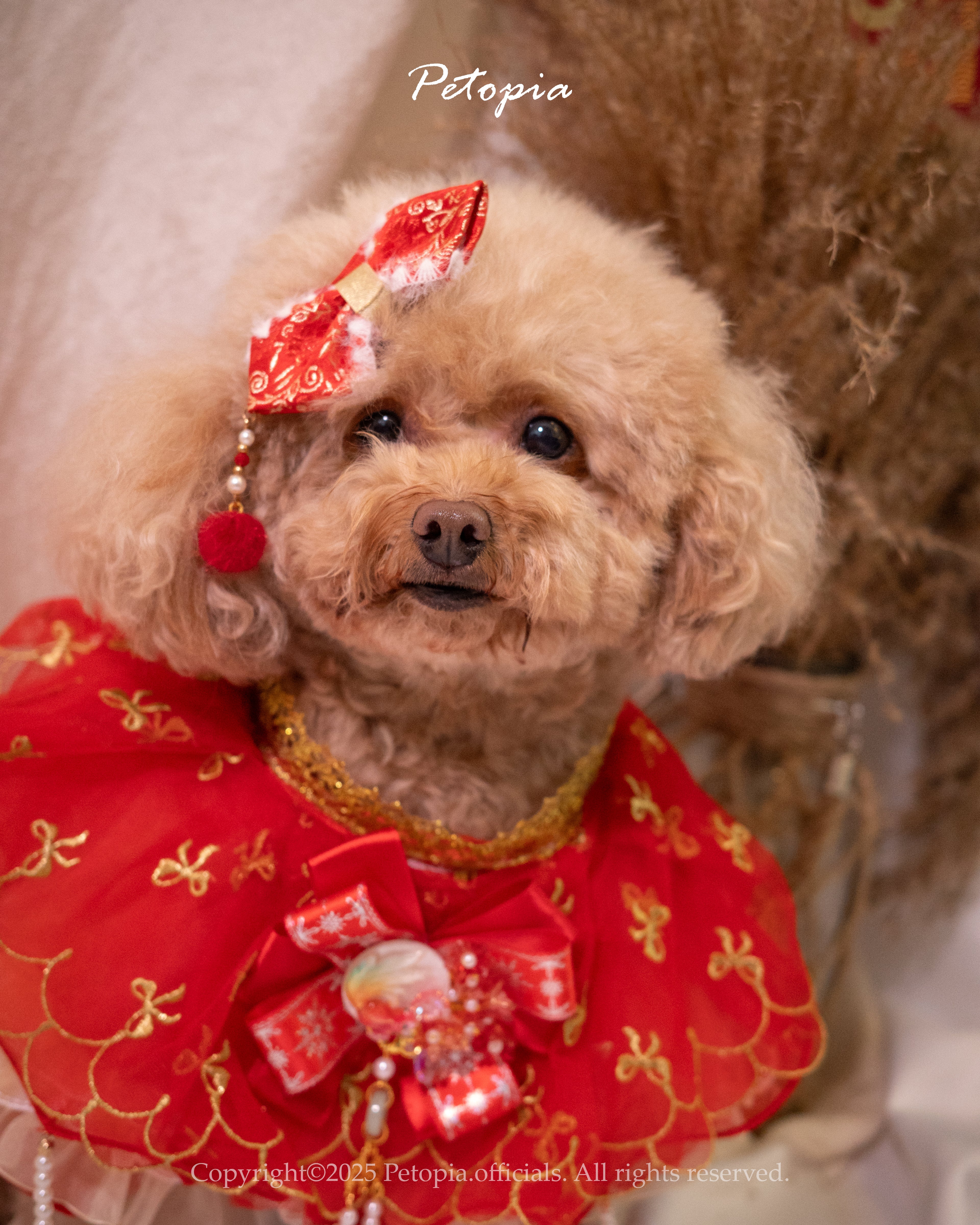 Golden Koi Pearl Bib