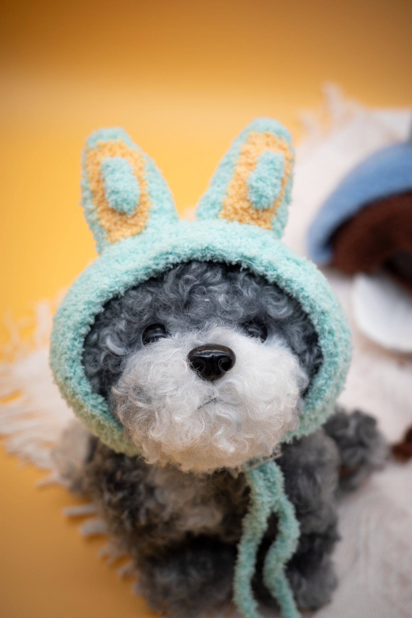 Mysterious Forest Fuzzy Ears