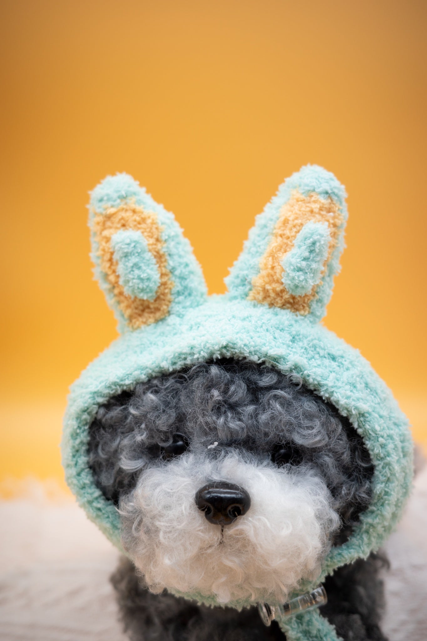 Mysterious Forest Fuzzy Ears