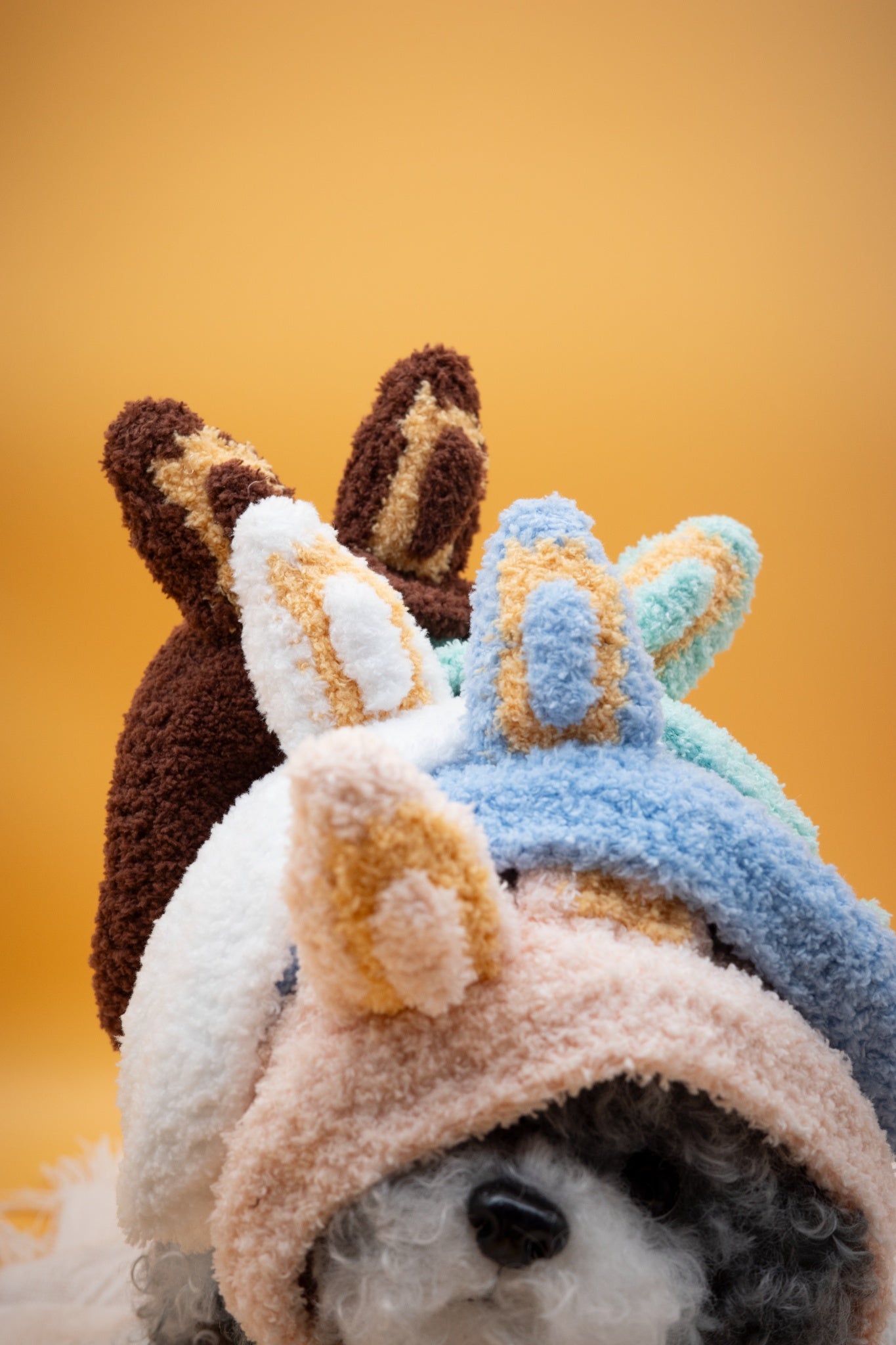 Mysterious Forest Fuzzy Ears