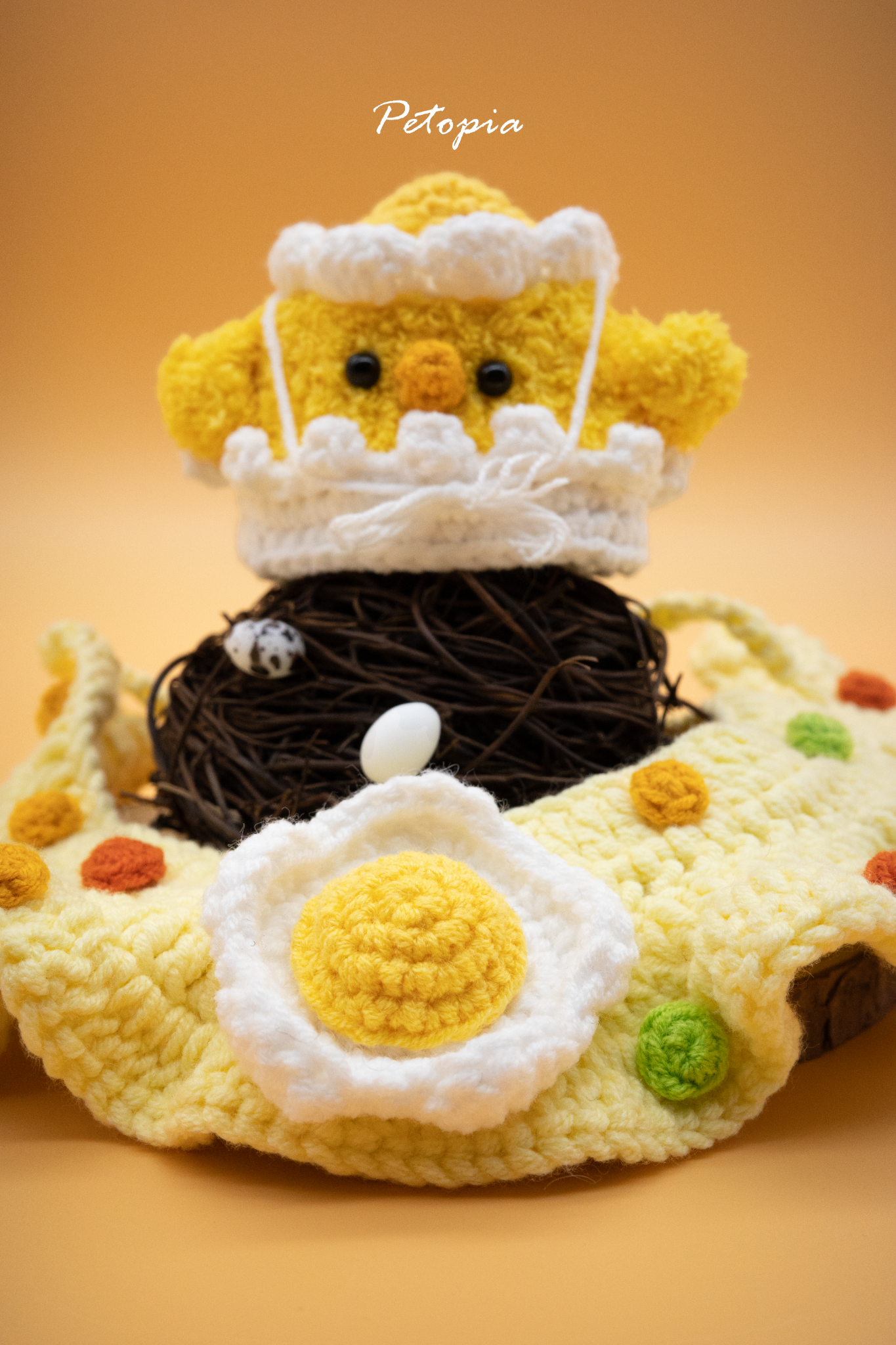 Chick Hat & Sunny Side up Egg Fried Rice Set