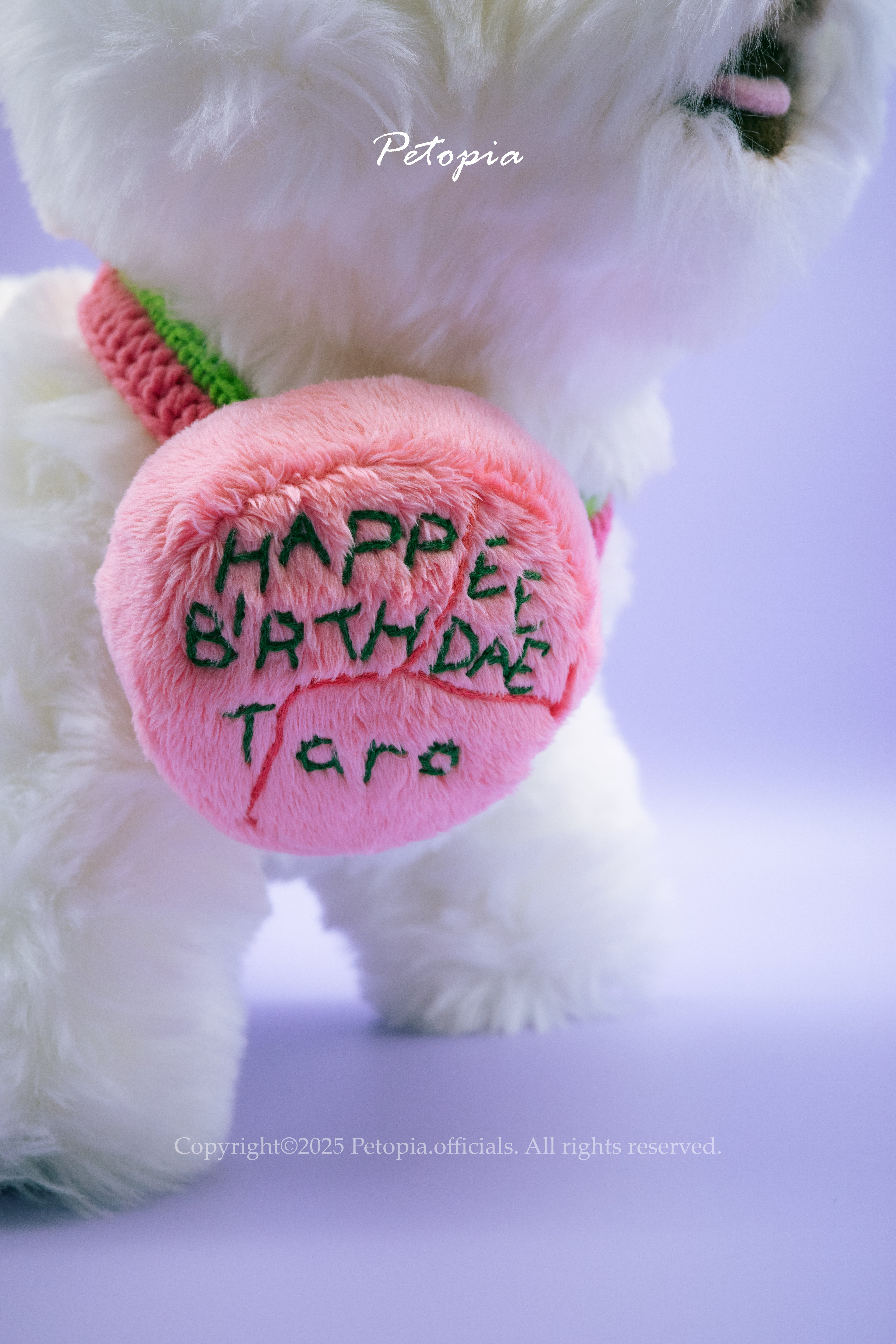 Pawfect Cake & Wishes Bib