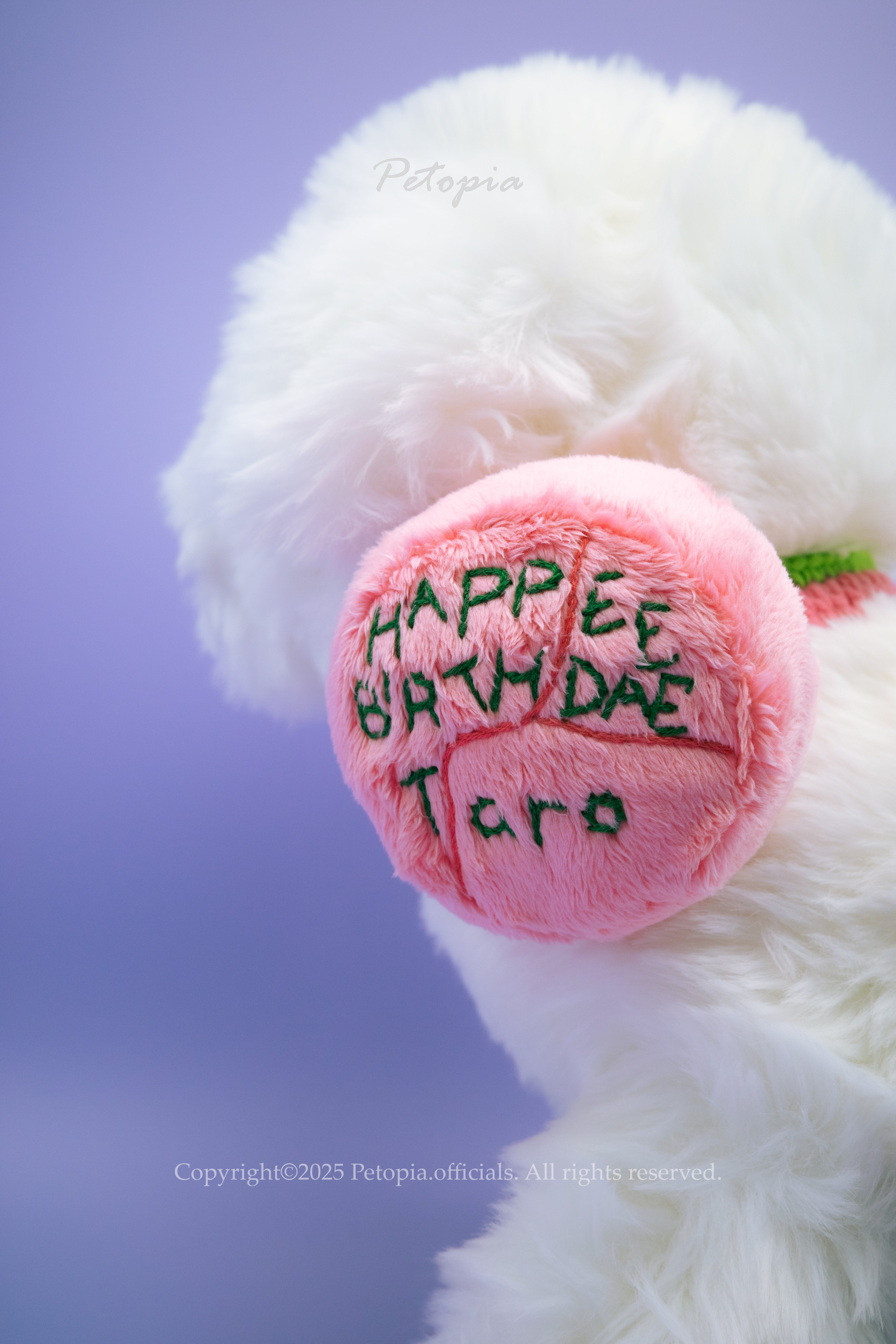 Pawfect Cake & Wishes Bib