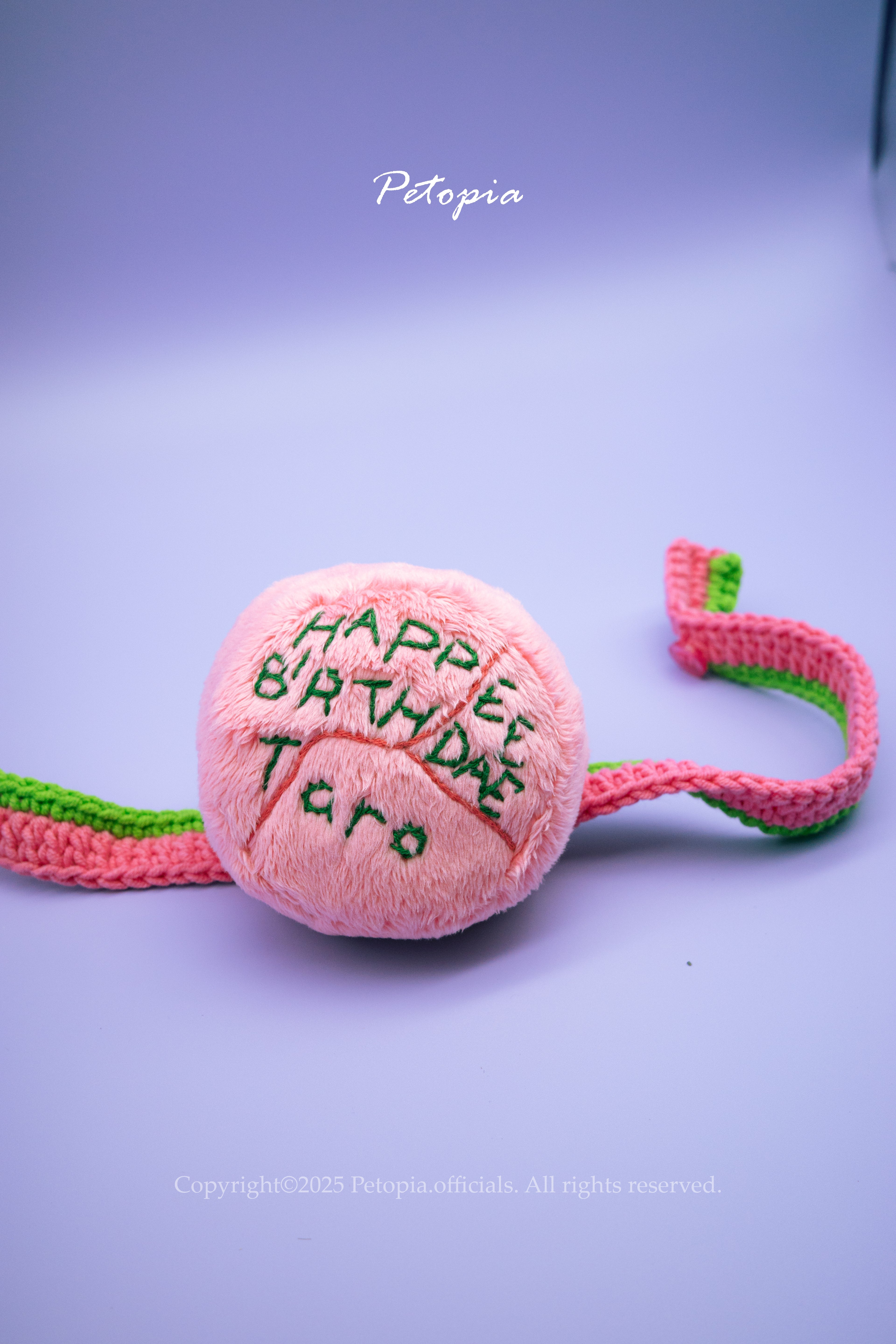 Pawfect Cake & Wishes Bib