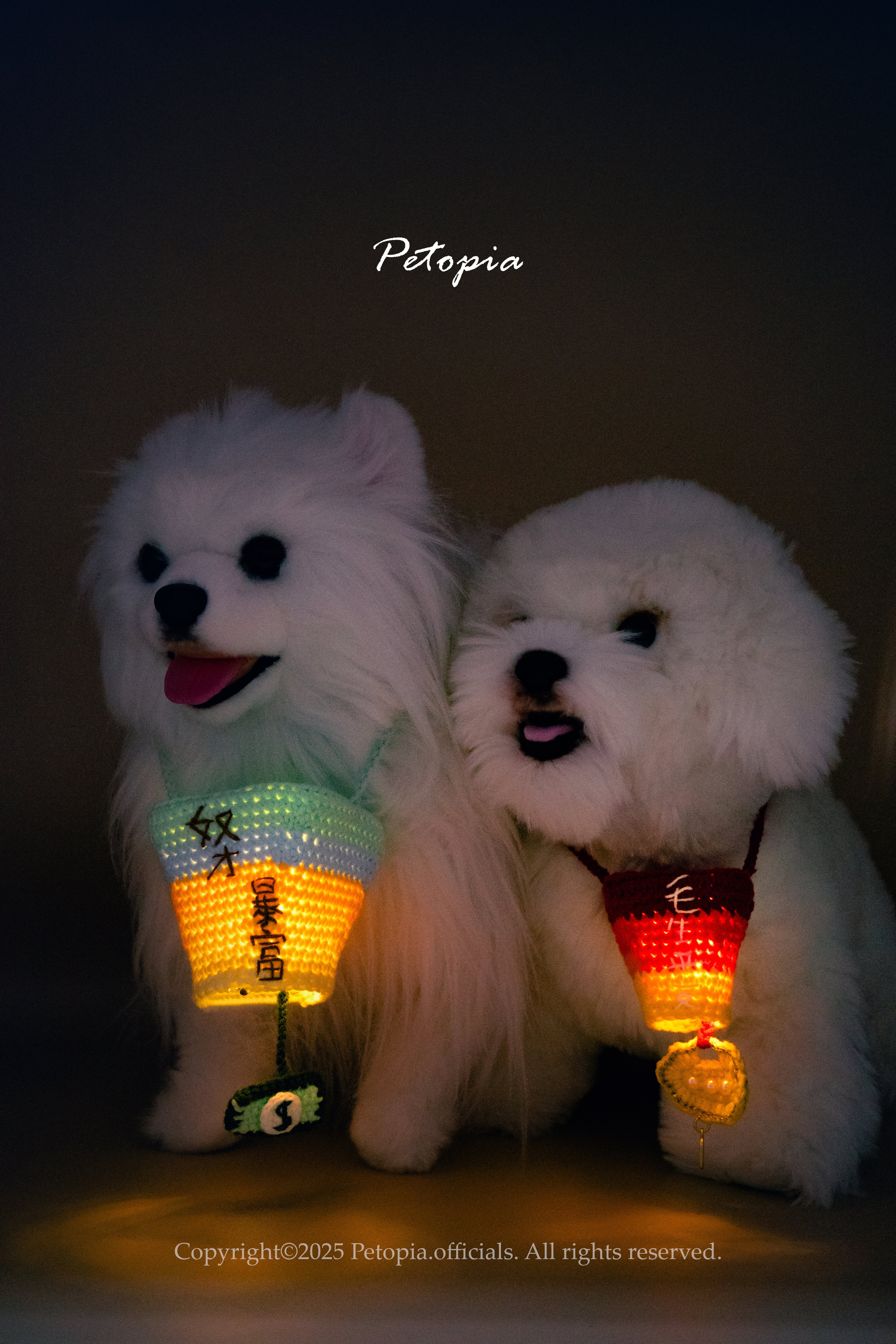 Blessing Sky Lantern