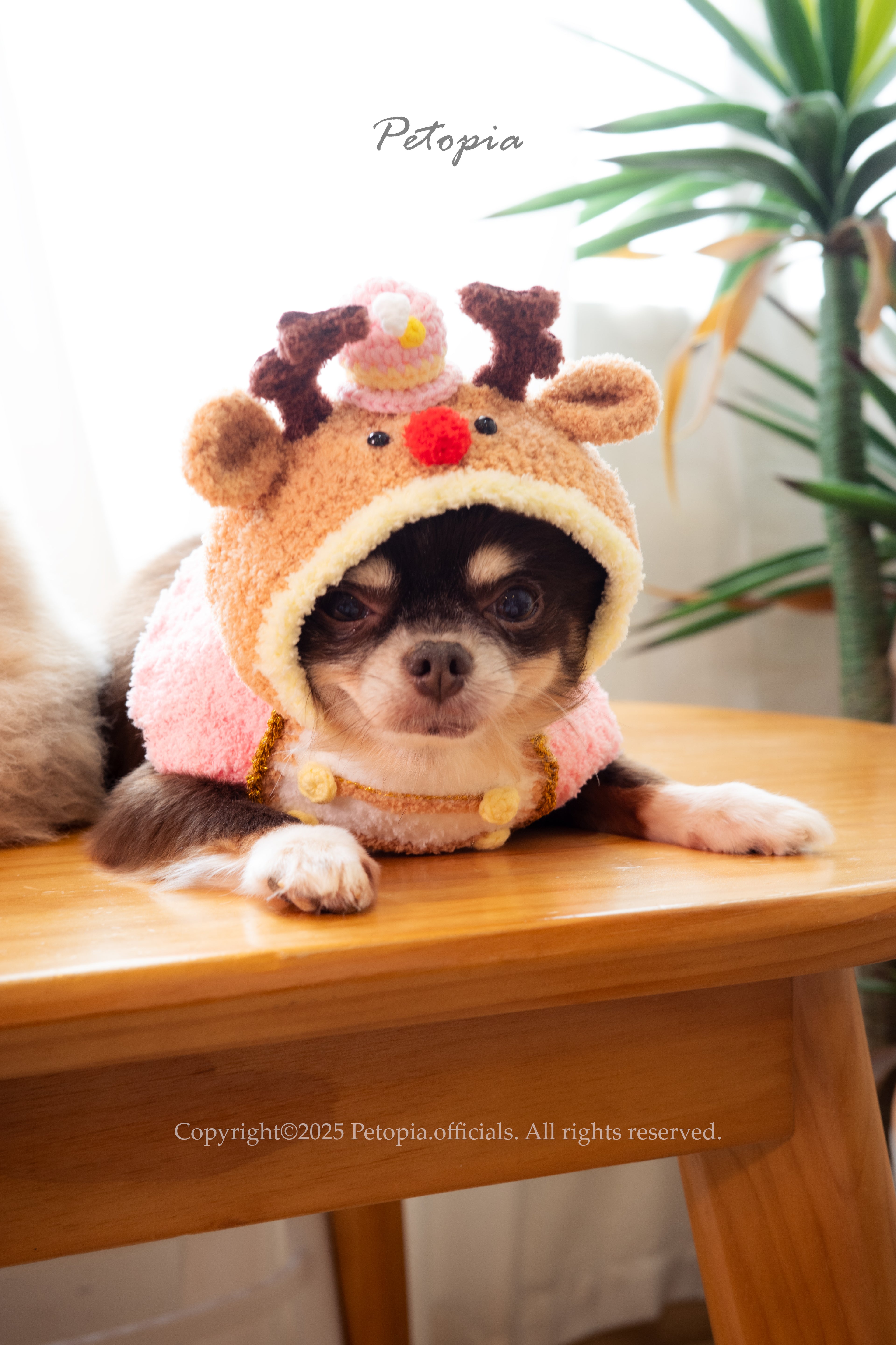 Circus Deer- the Nutcraker Set