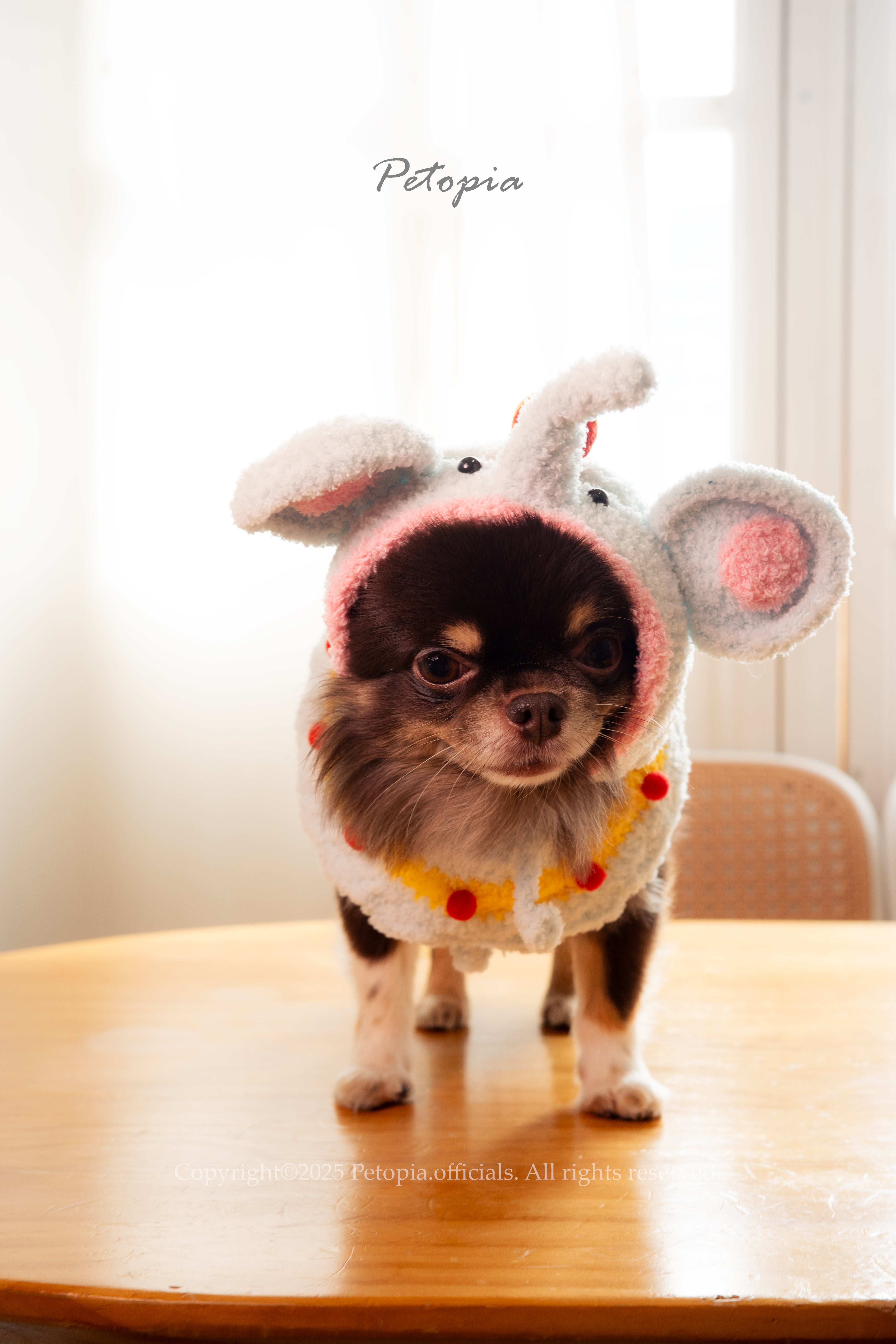 Circus Elephant- the Juggle Hat