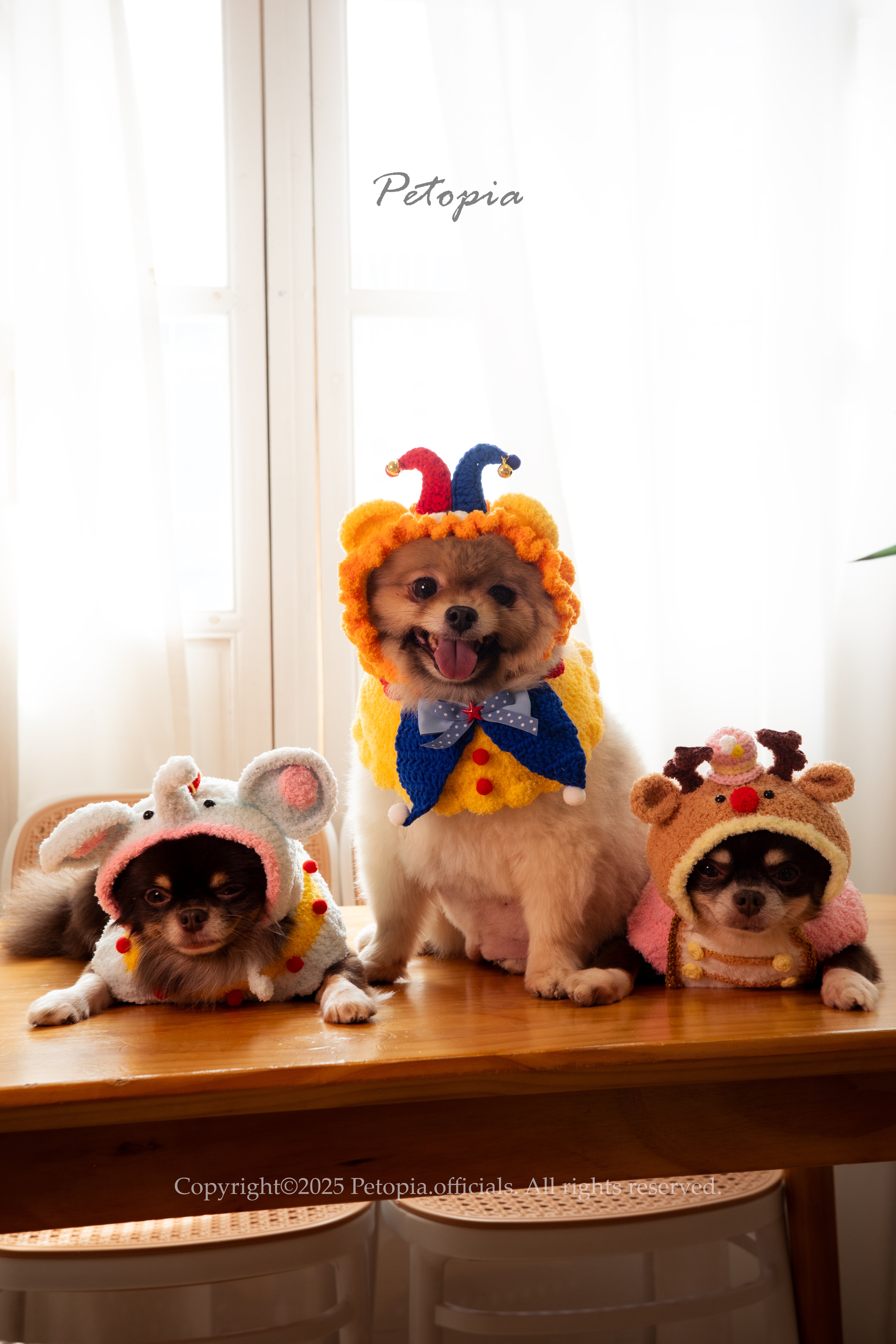 Circus Elephant- the Juggle Set