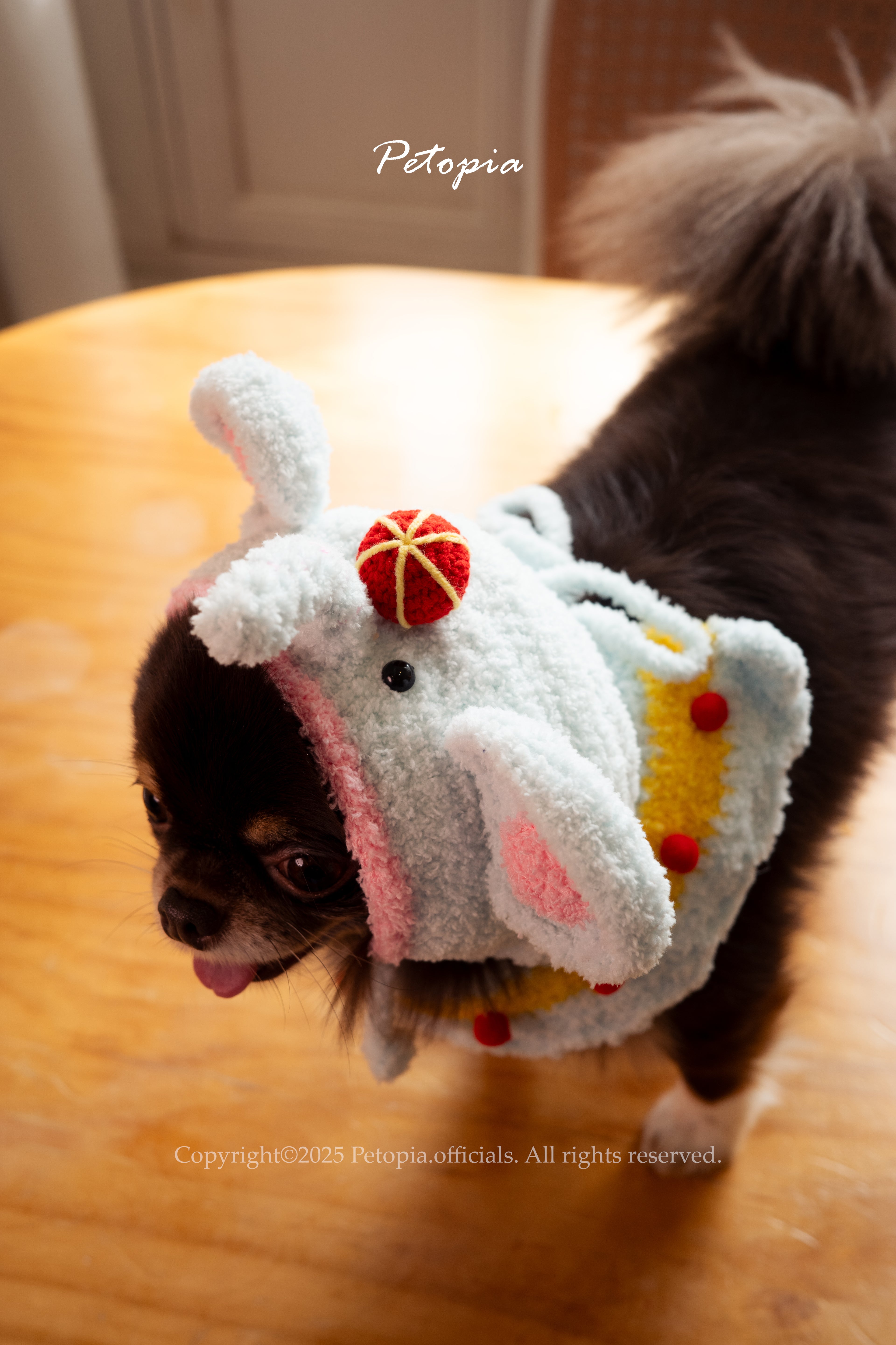 Circus Elephant- the Juggle Hat