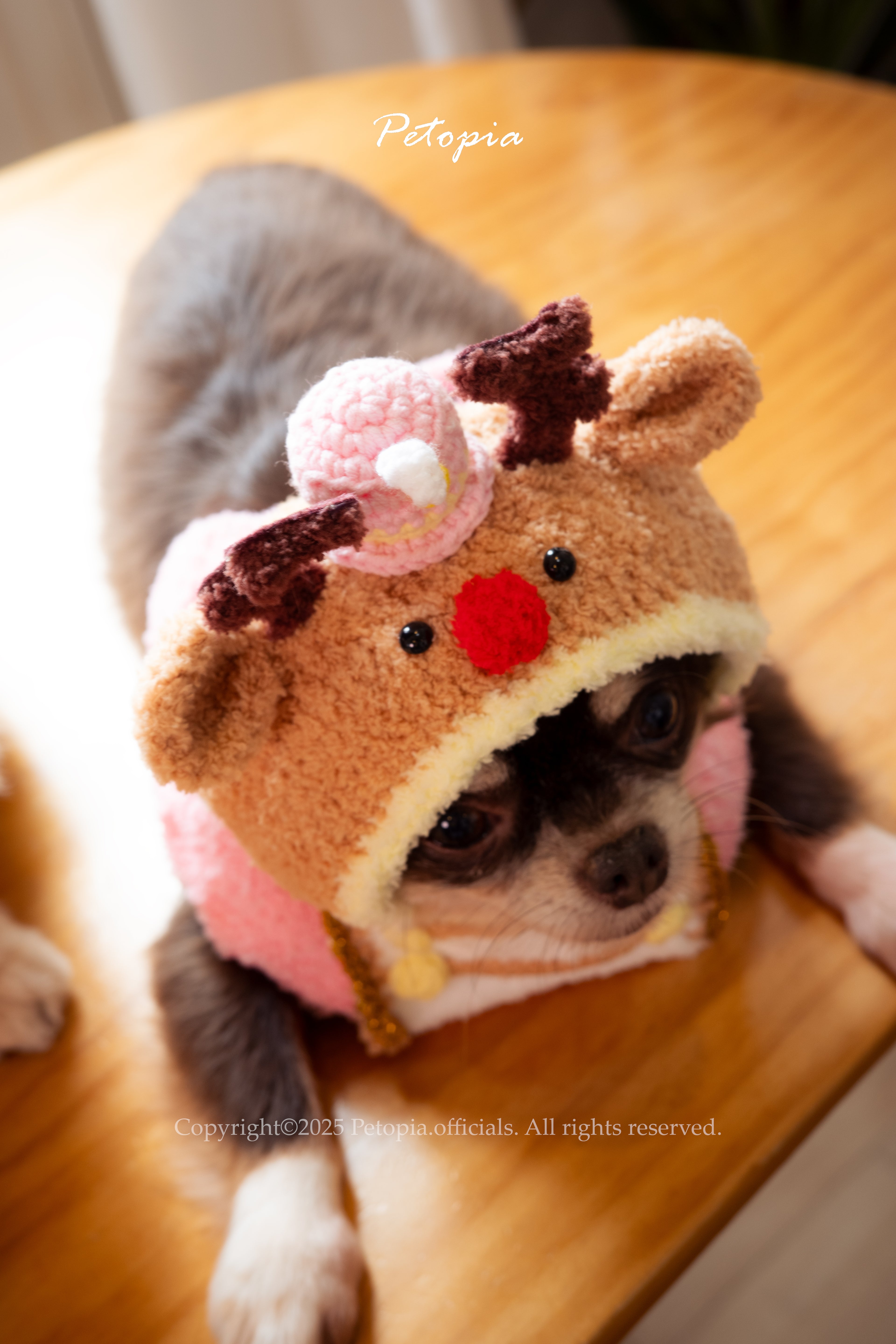 Circus Deer- the Nutcraker Set