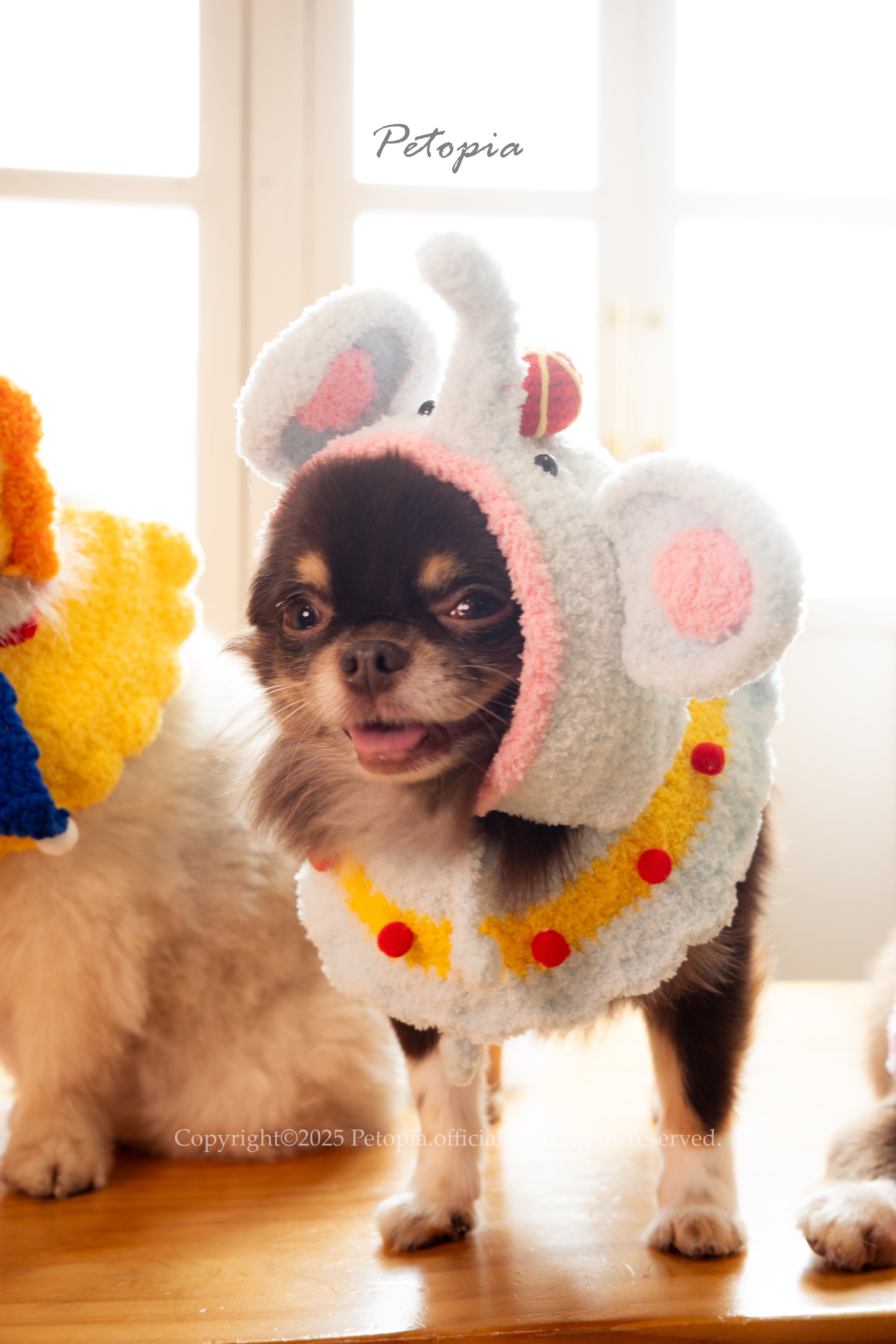 Circus Elephant- the Juggle Hat