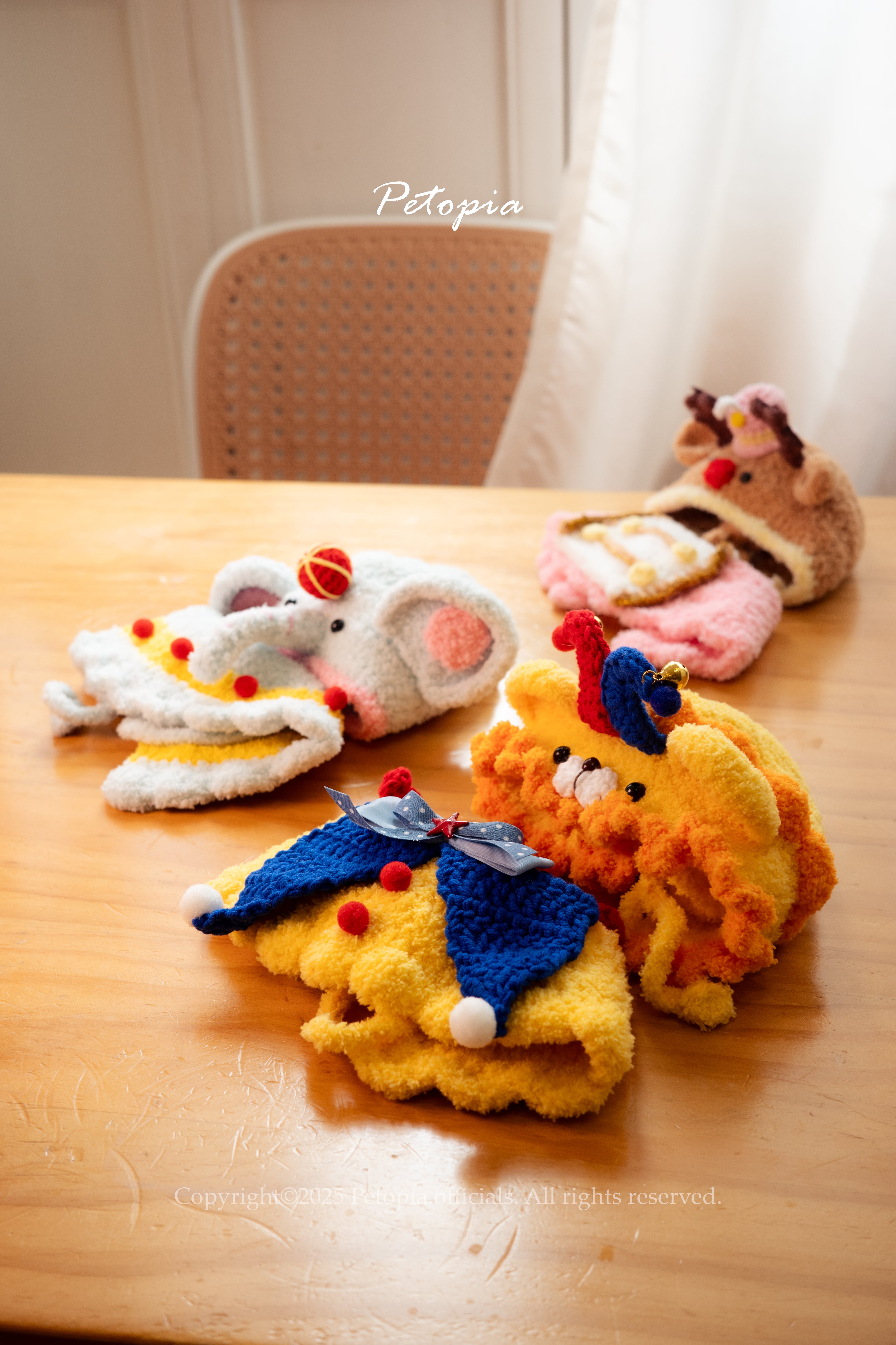 Circus Lion-the Clown Bib