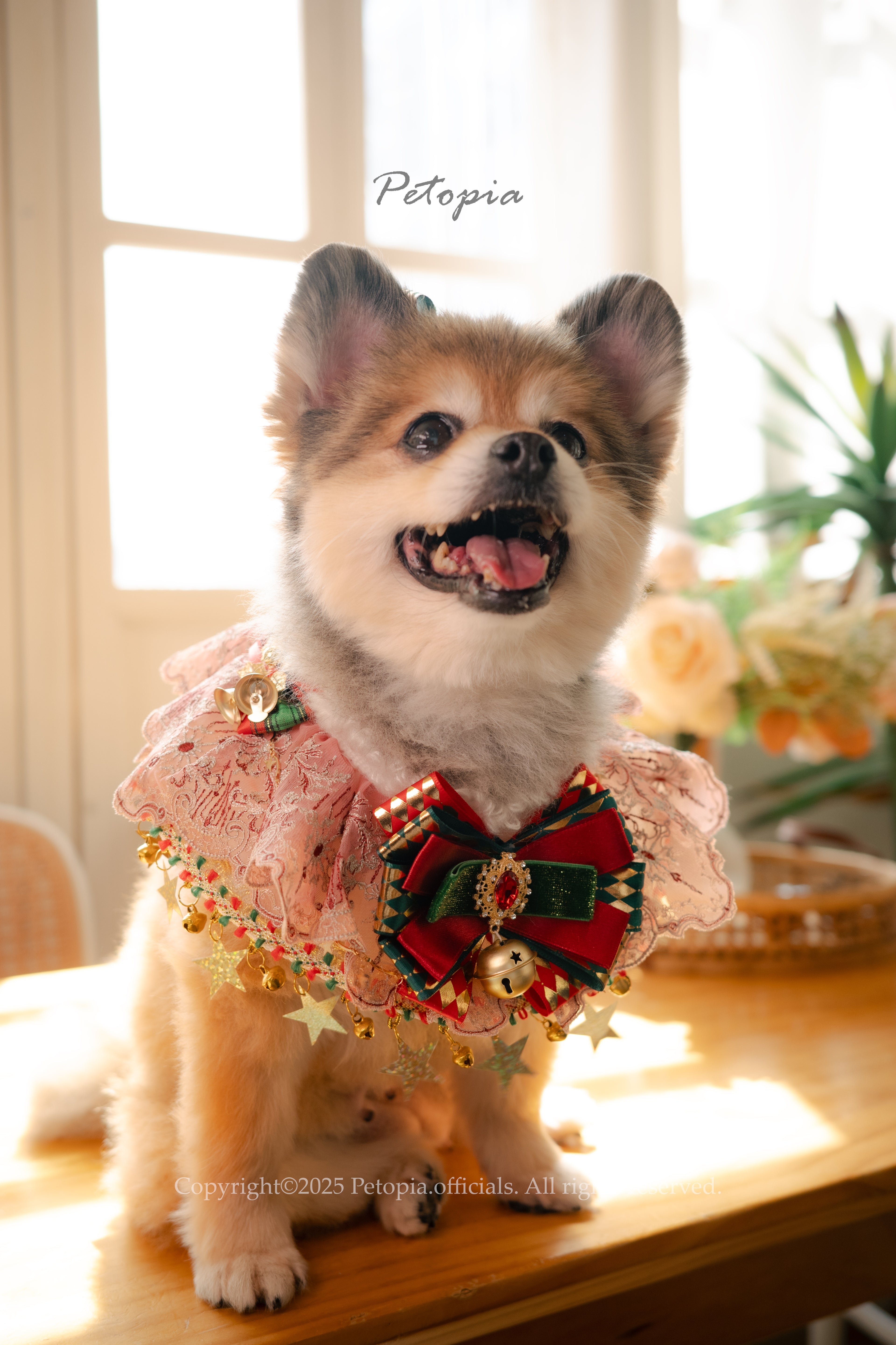 Christmas Circus Luxe Set