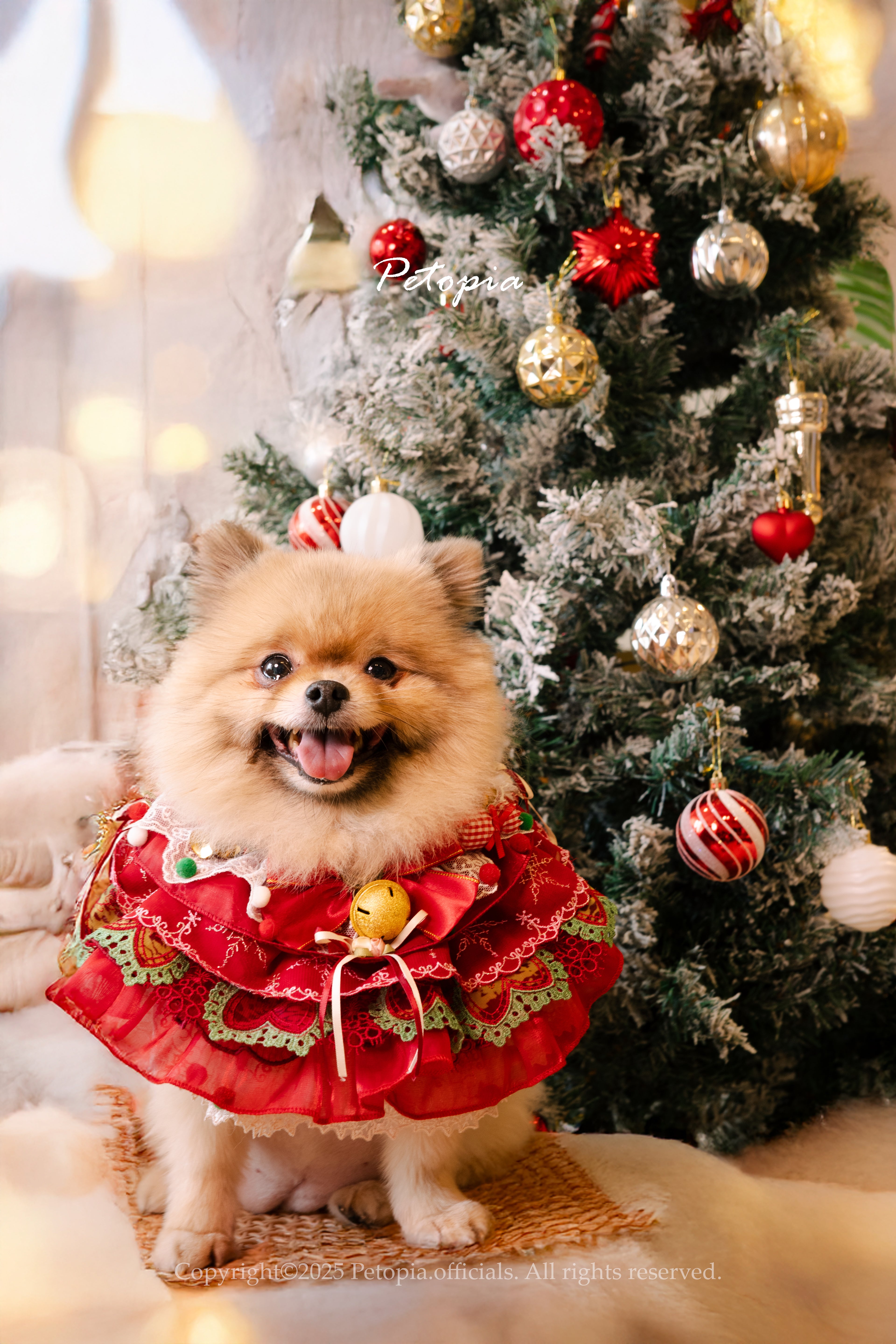 Christmas Evergreen Couture