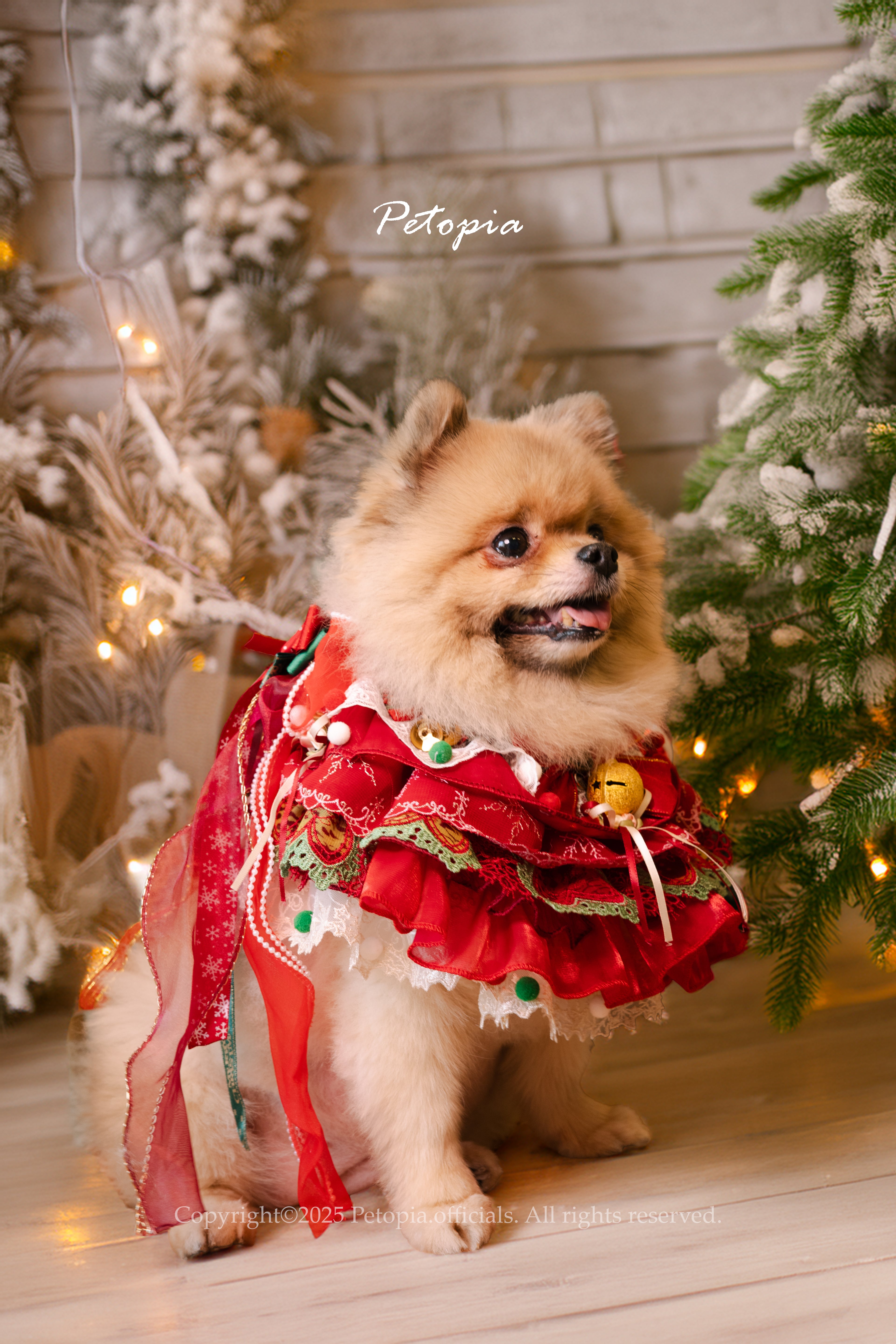 Christmas Evergreen Couture