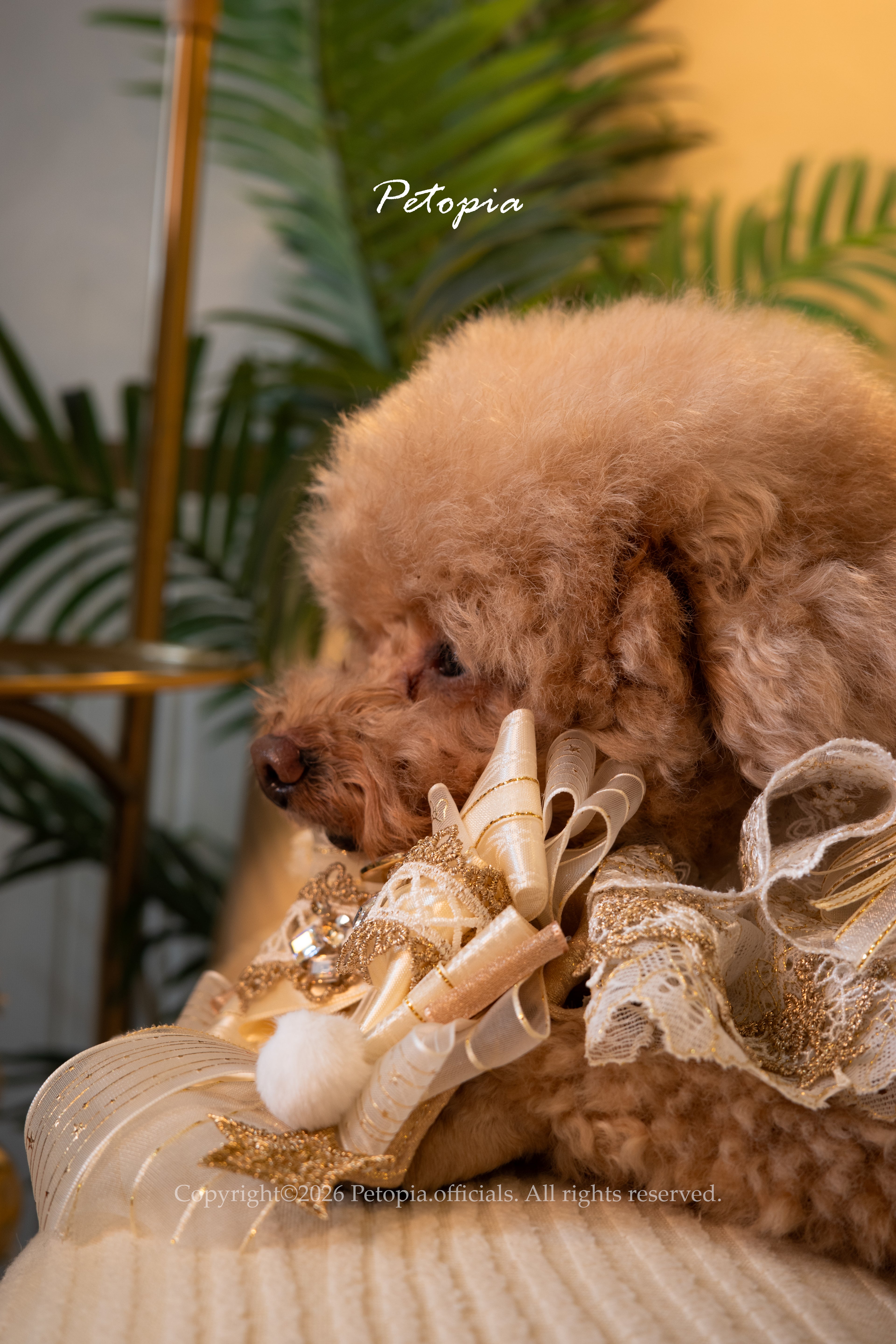 Golden Unicorn Jubilee