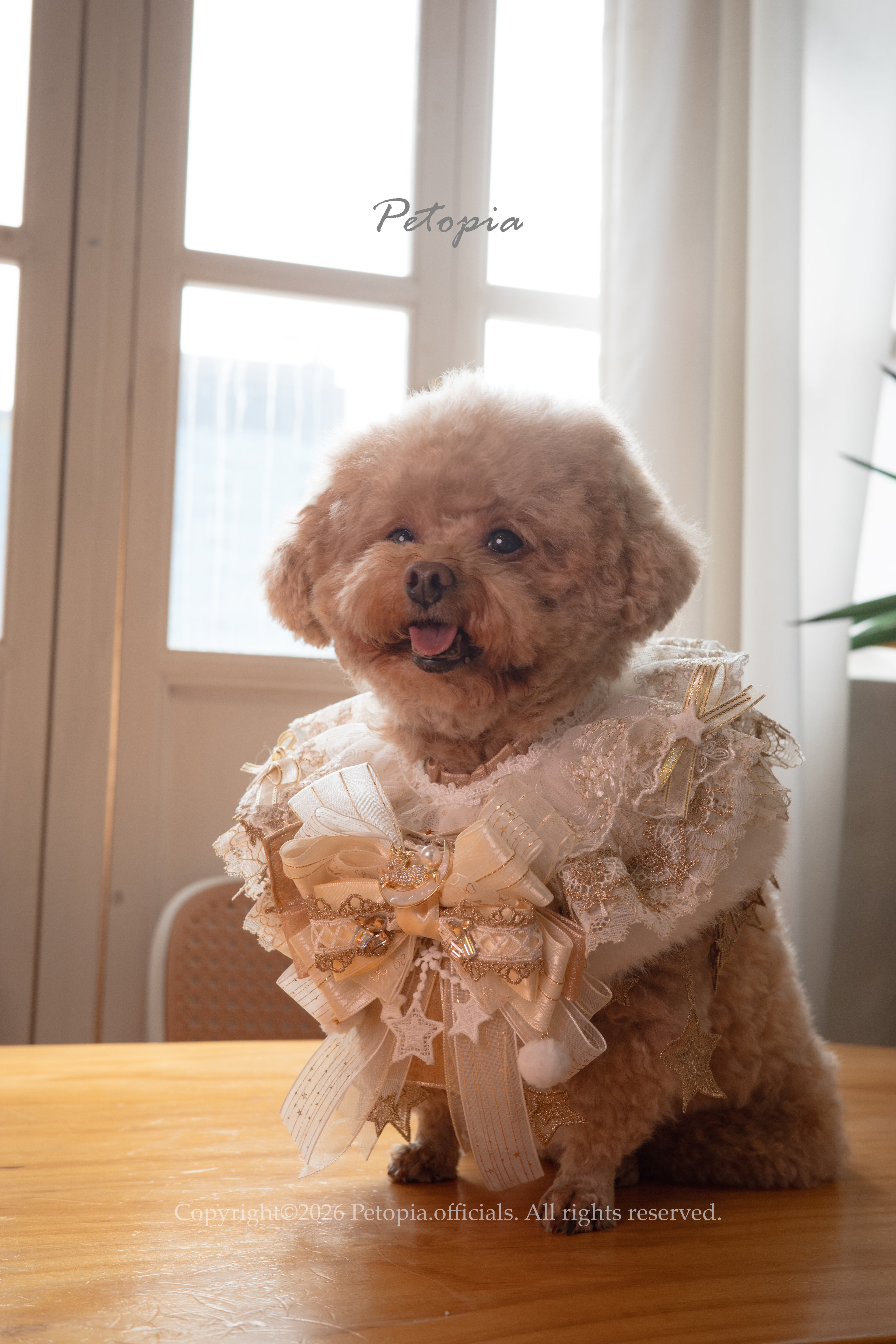 Golden Unicorn Jubilee