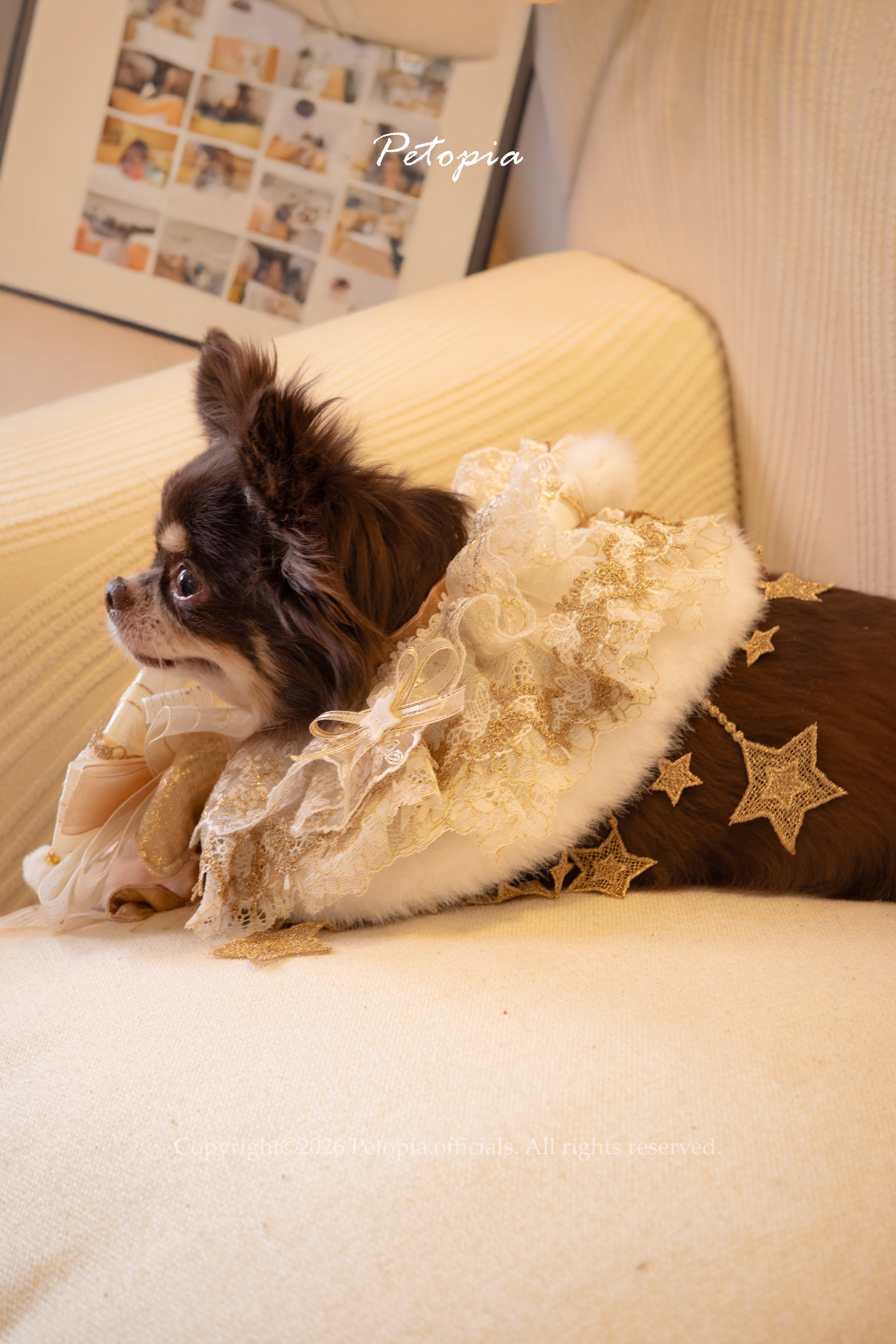 Golden Unicorn Jubilee