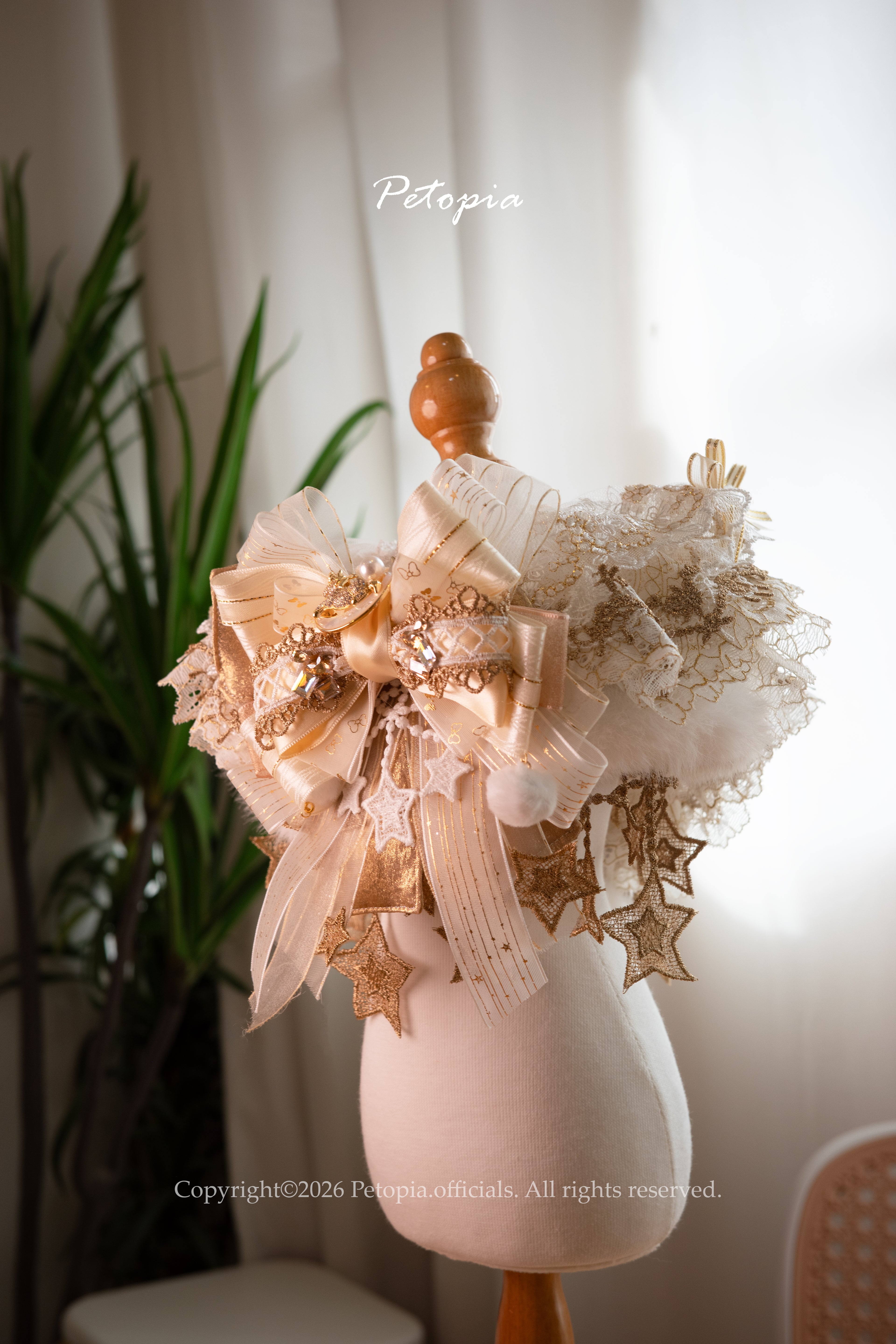 Champagne gold lace dog collar with big bow and star charms, luxury pet accessory 香檳金蕾絲星星寵物領巾