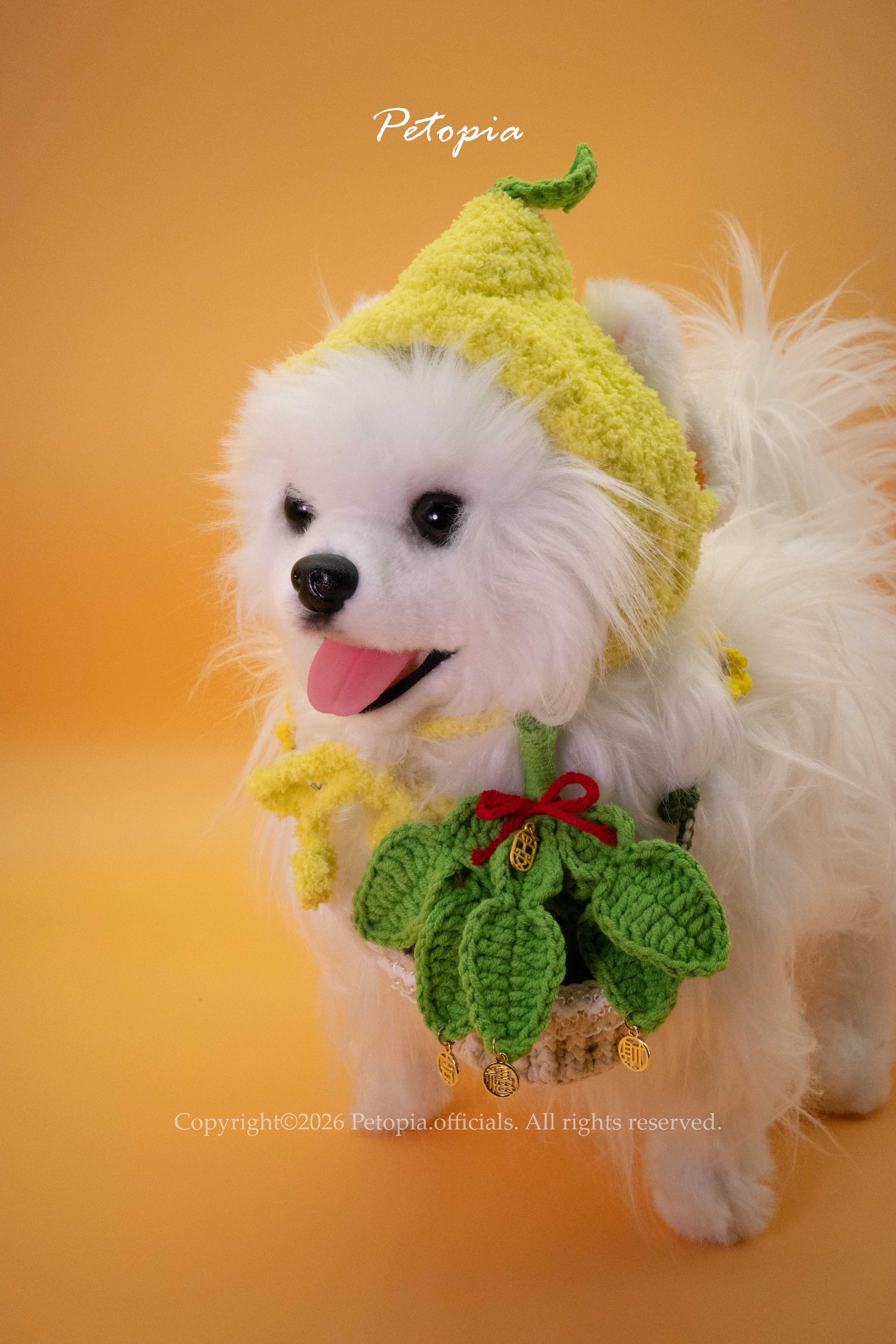 Fortune Pomelo Leaf Neck Accessory