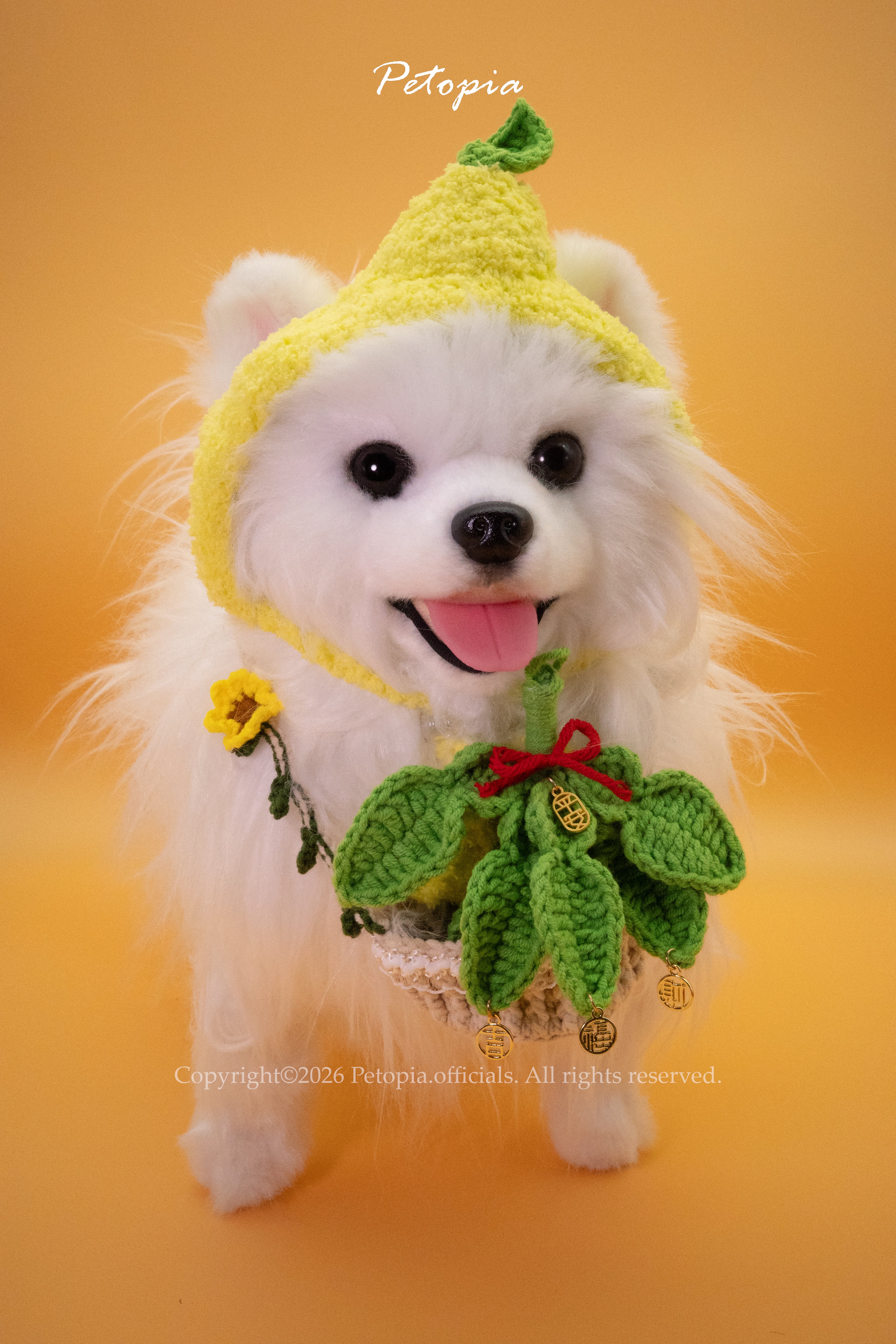 Fortune Pomelo Leaf Neck Accessory