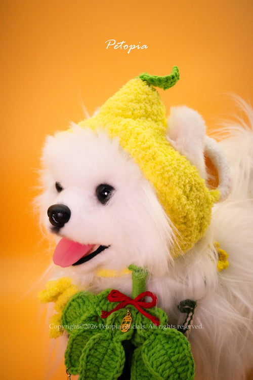 Lucky "Yau" Wish Hat