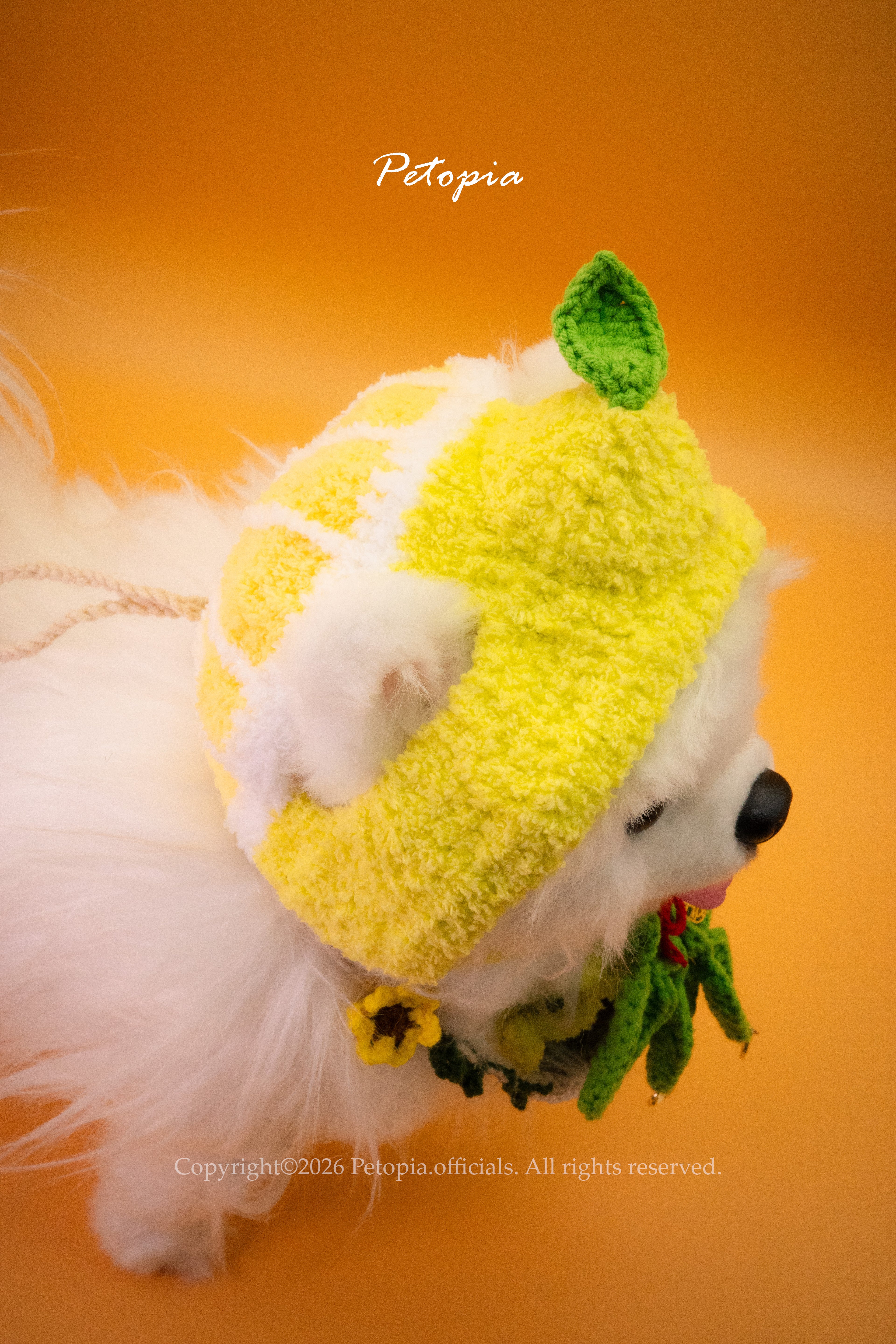 Lucky "Yau" Wish Hat