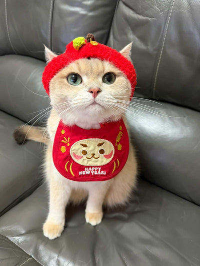 客人實穿圖
