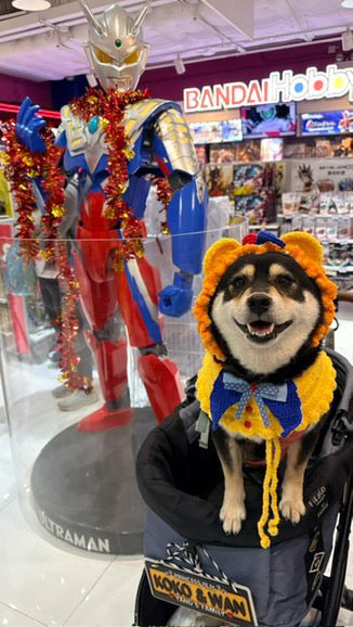 客人實穿圖