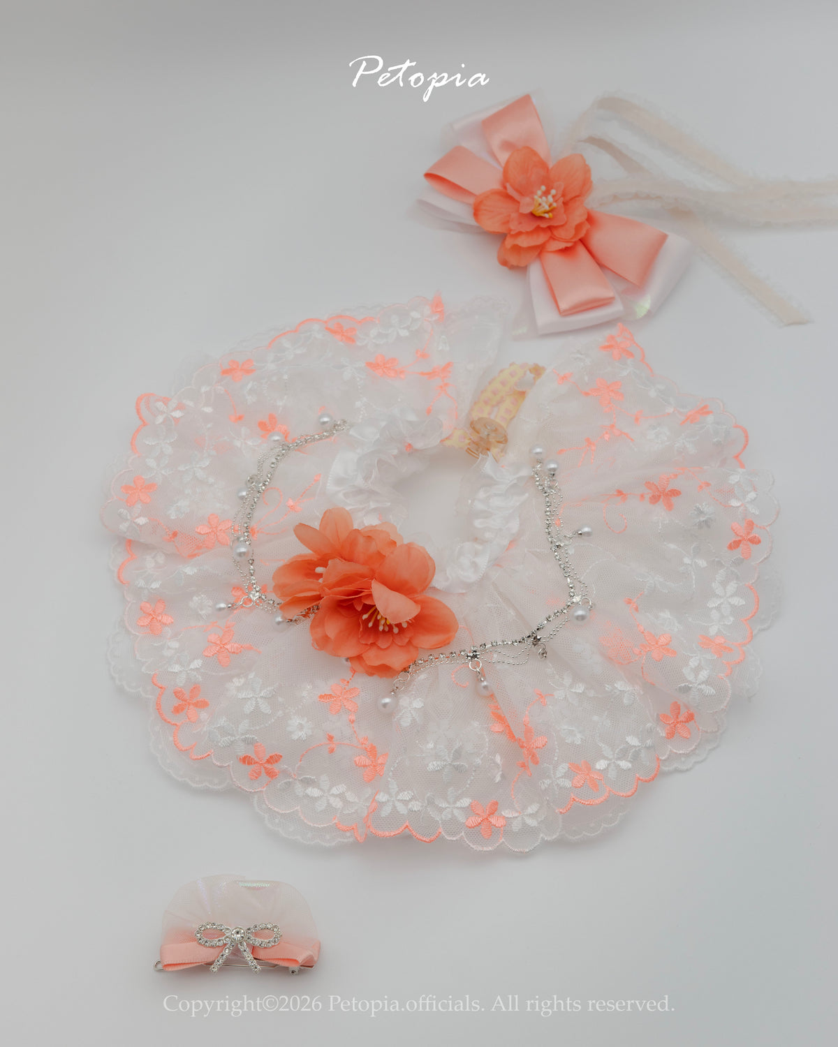 Twin Begonia