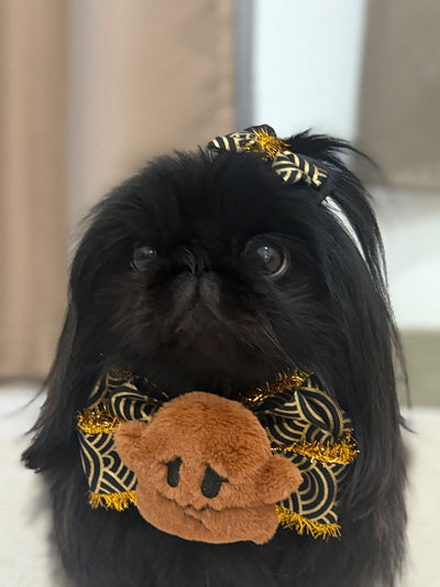 客人實穿圖