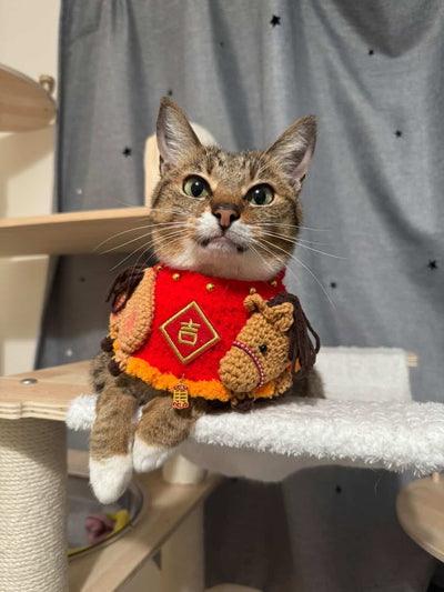 客人實穿圖