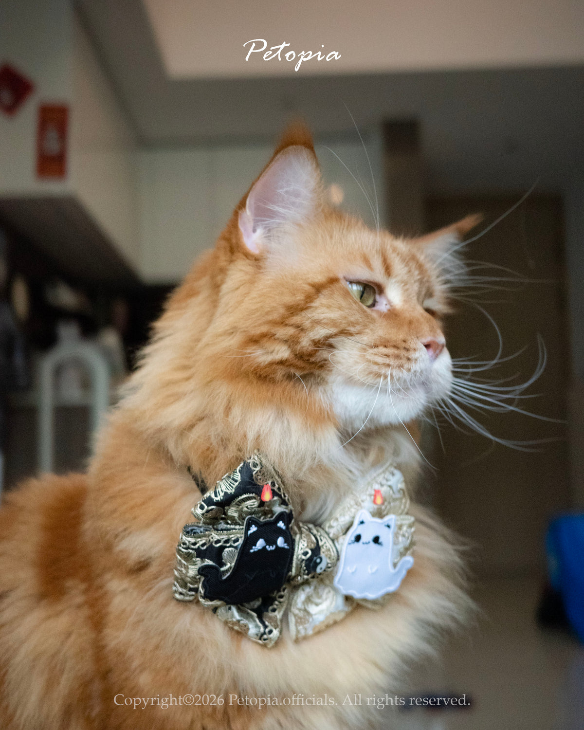 Meow WuChang (Expect Deliver: End of Nov)