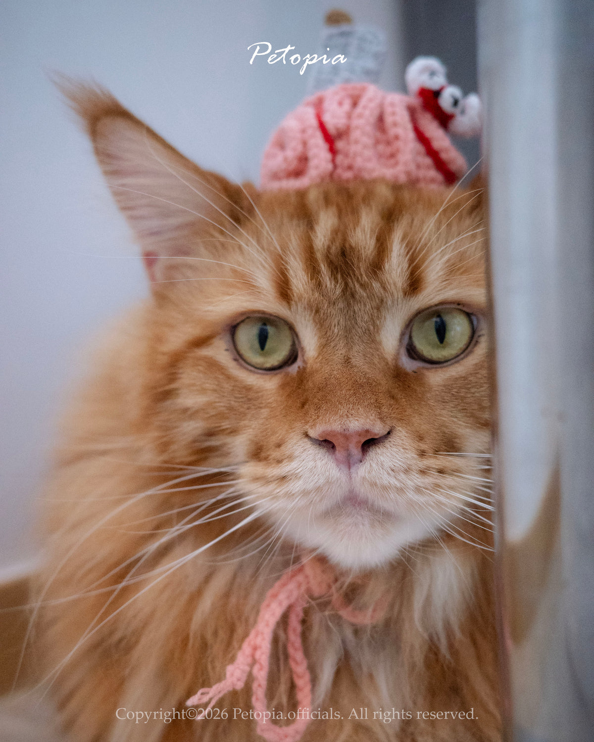 Out of Order Brain (Expect Deliver: End of Nov)