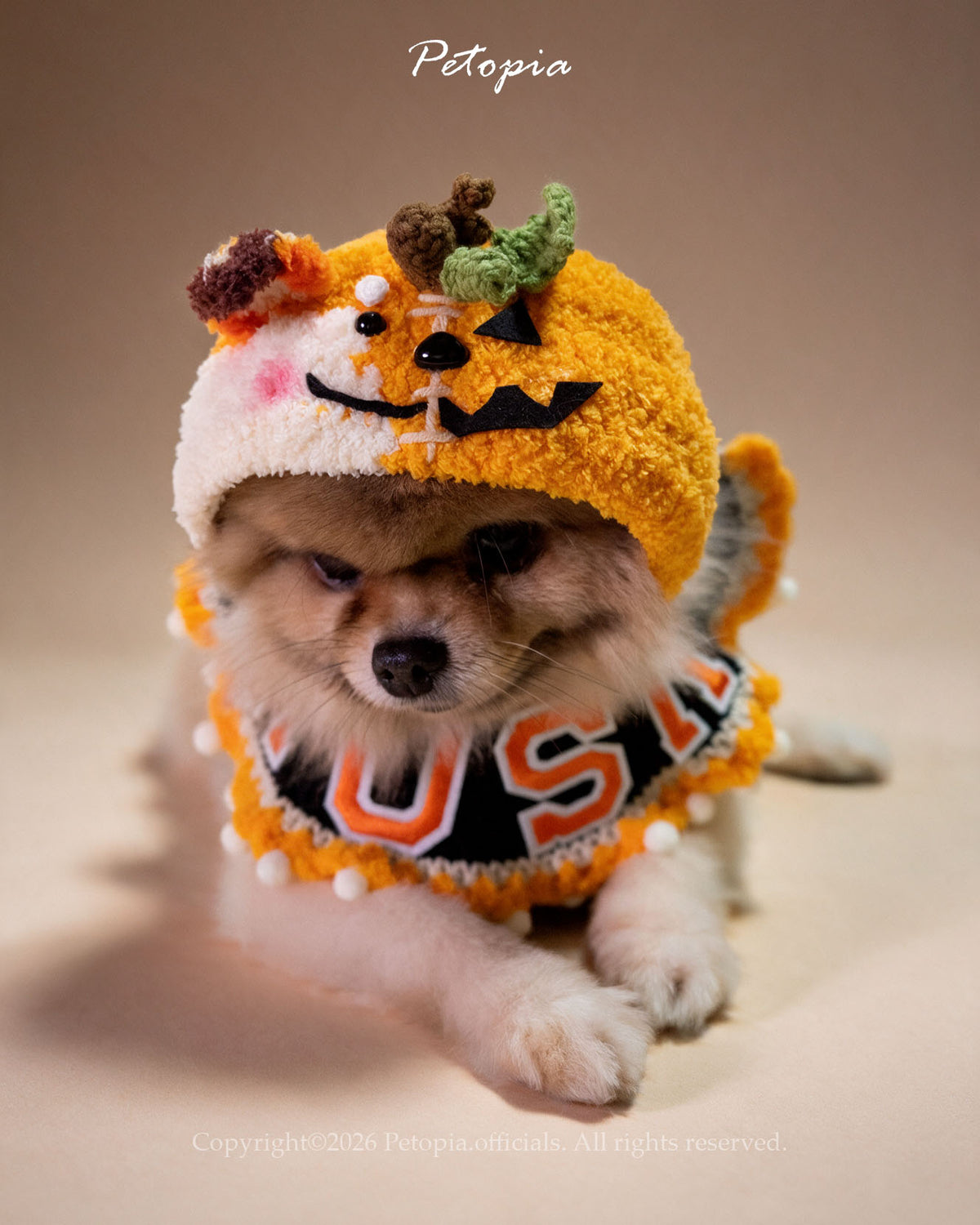 PIP the Pumpkin-Foxy (Expect Deliver: End of Nov)