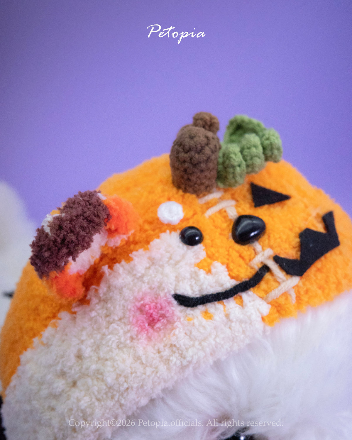 PIP the Pumpkin-Foxy (Expect Deliver: End of Nov)
