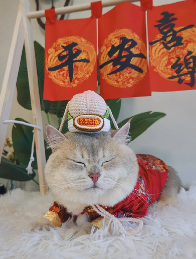 客人實穿圖