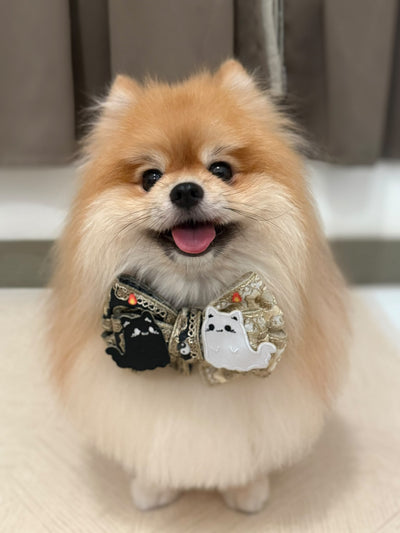 客人實穿圖
