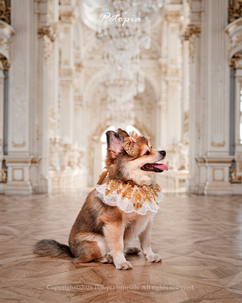 Archduchess Goldplume