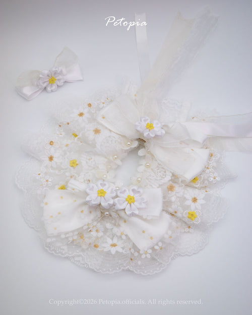 Cape Jasmine