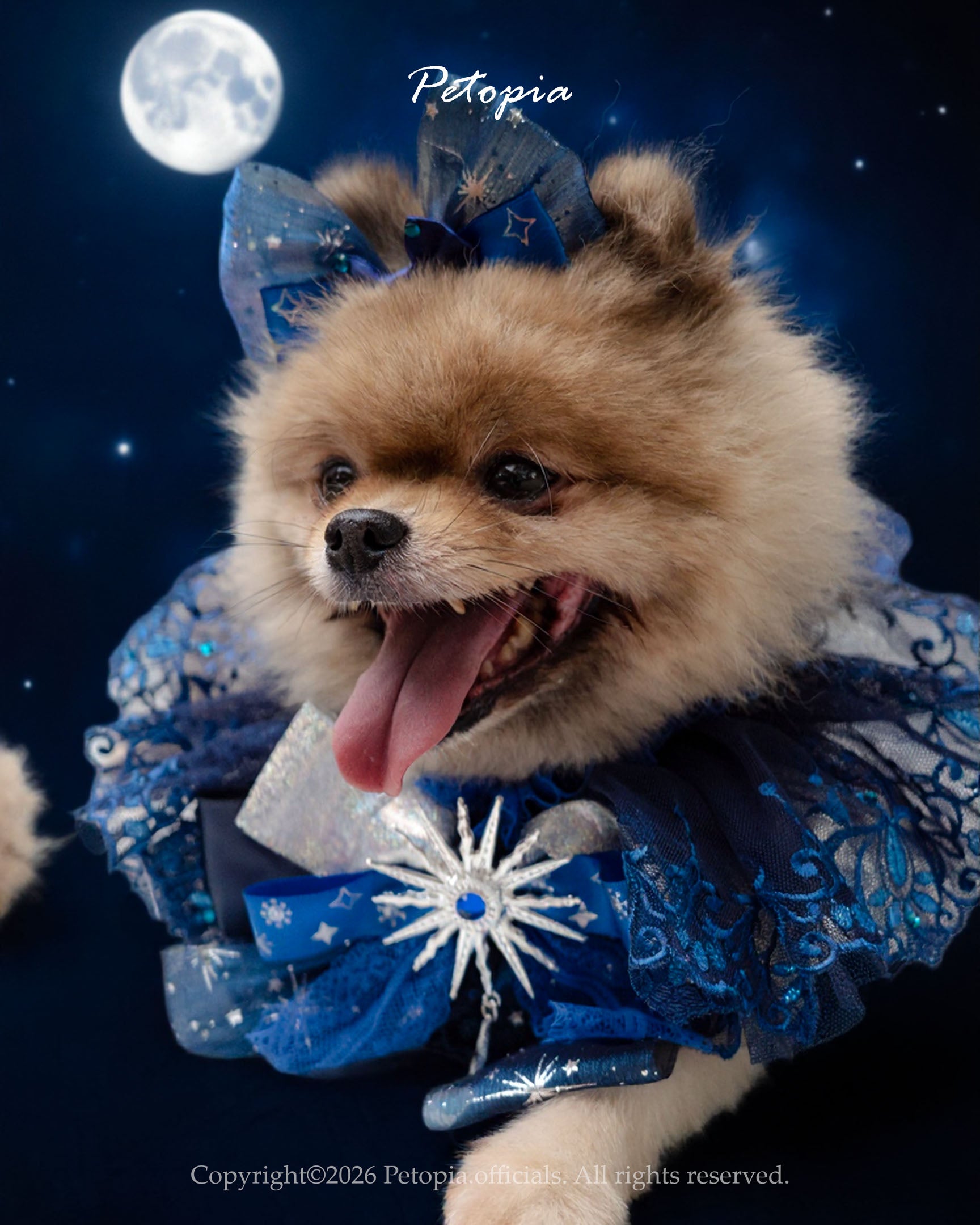 星野夜曲