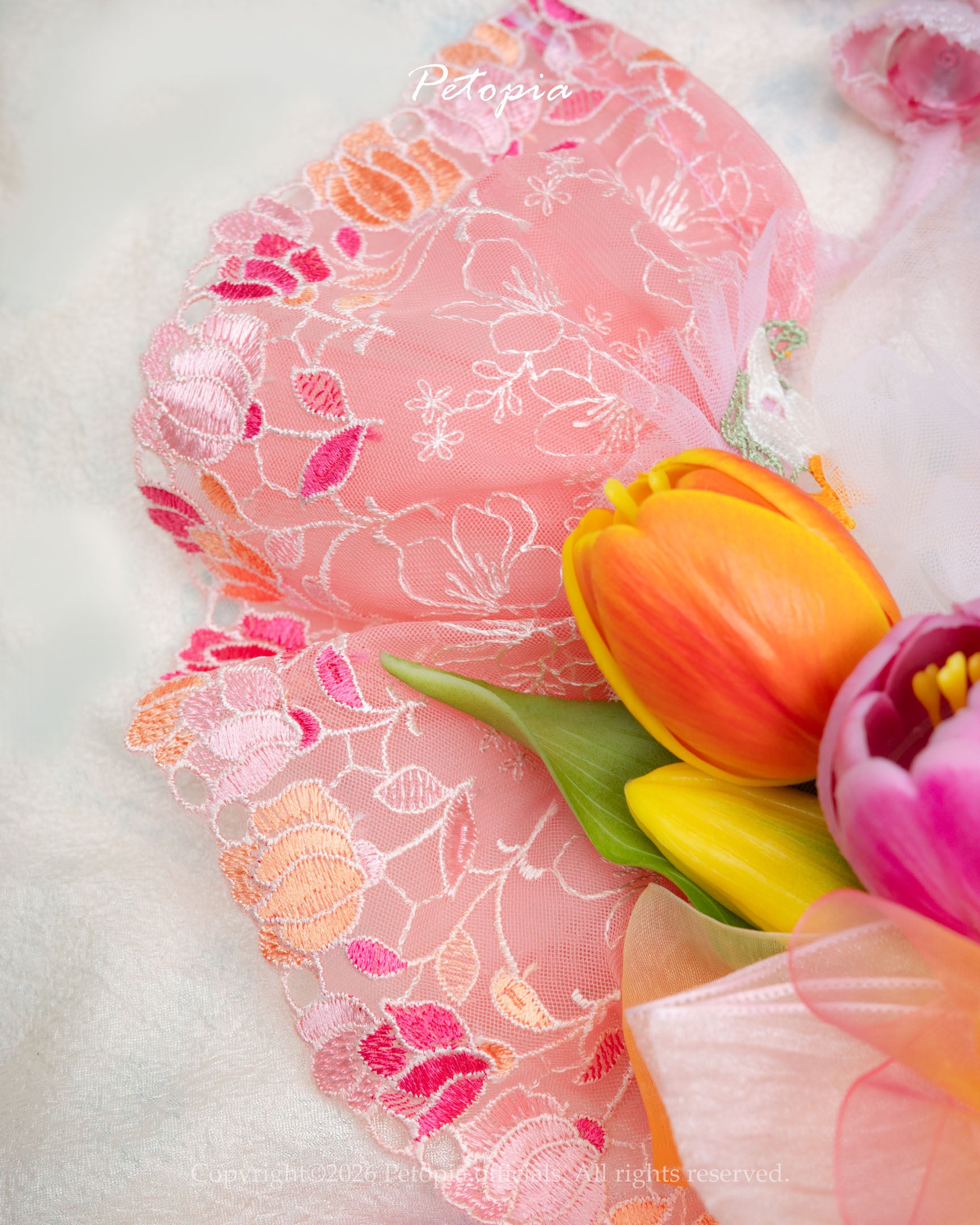 Sweer Tulp