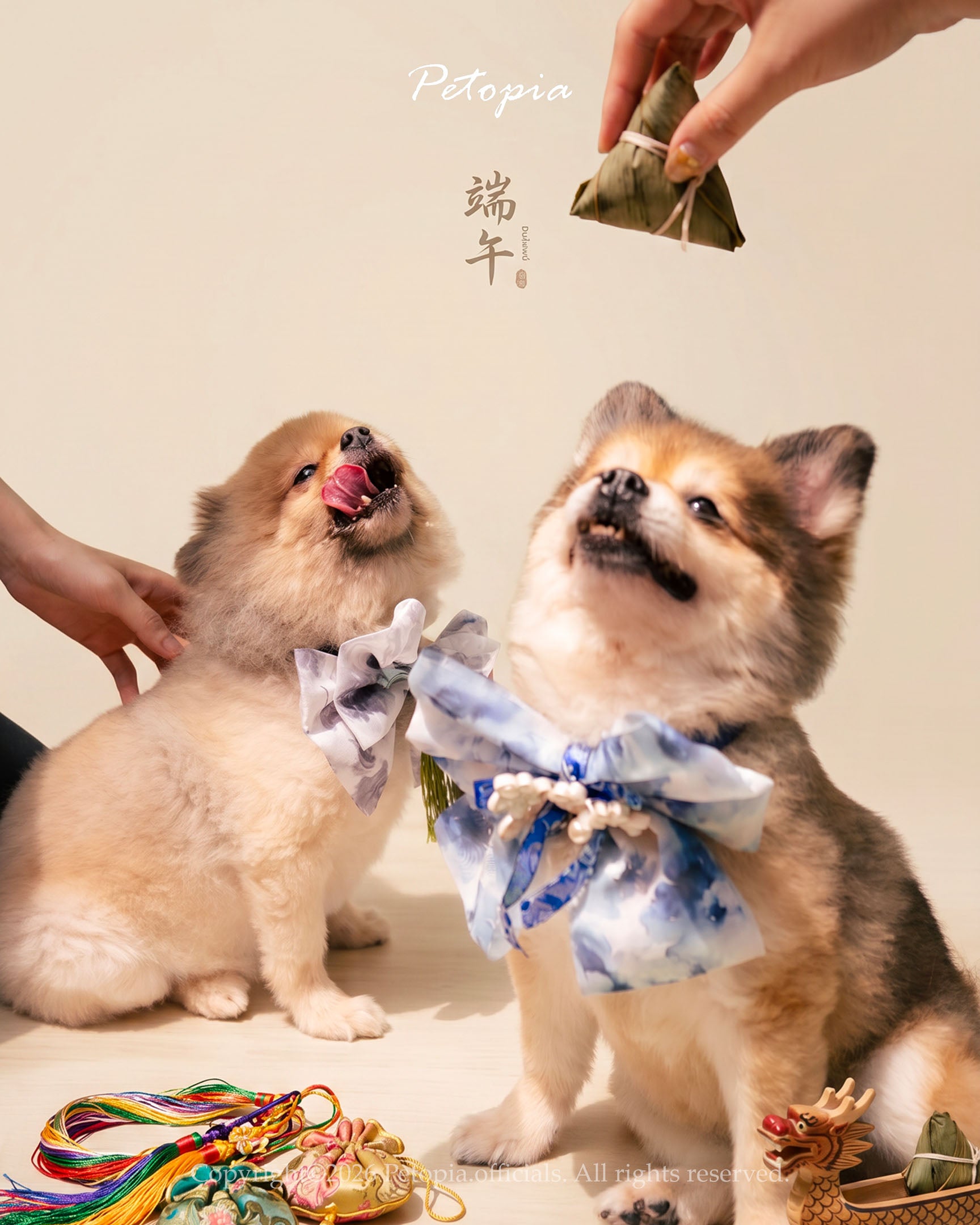 小青花蝴蝶結