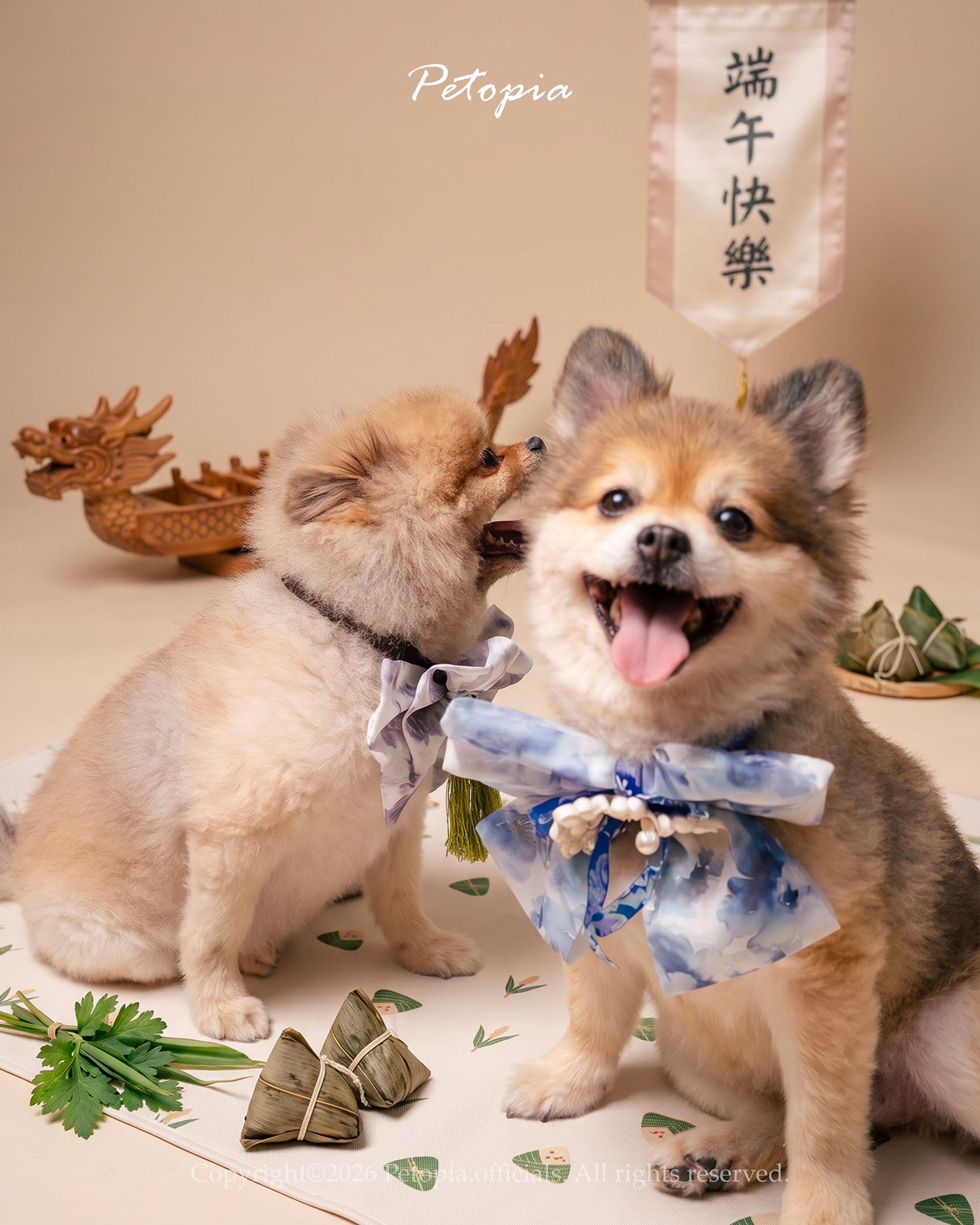 Whispers of Blue & White Zongzi Combo