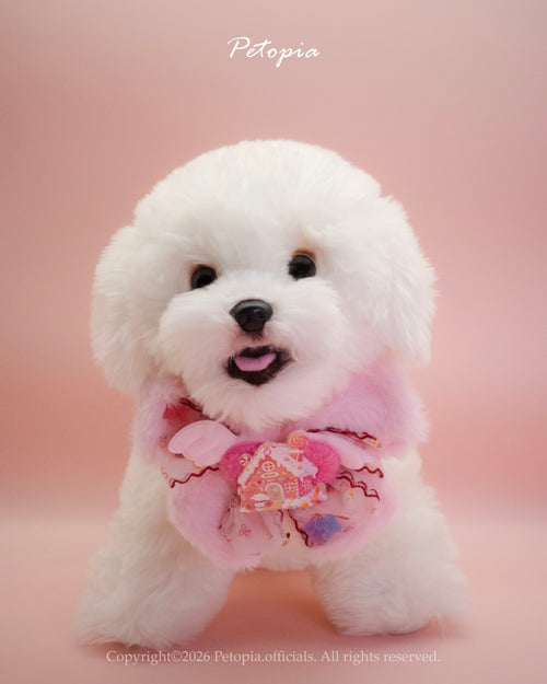Bear Candy Cottage