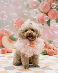 Peachy Shake