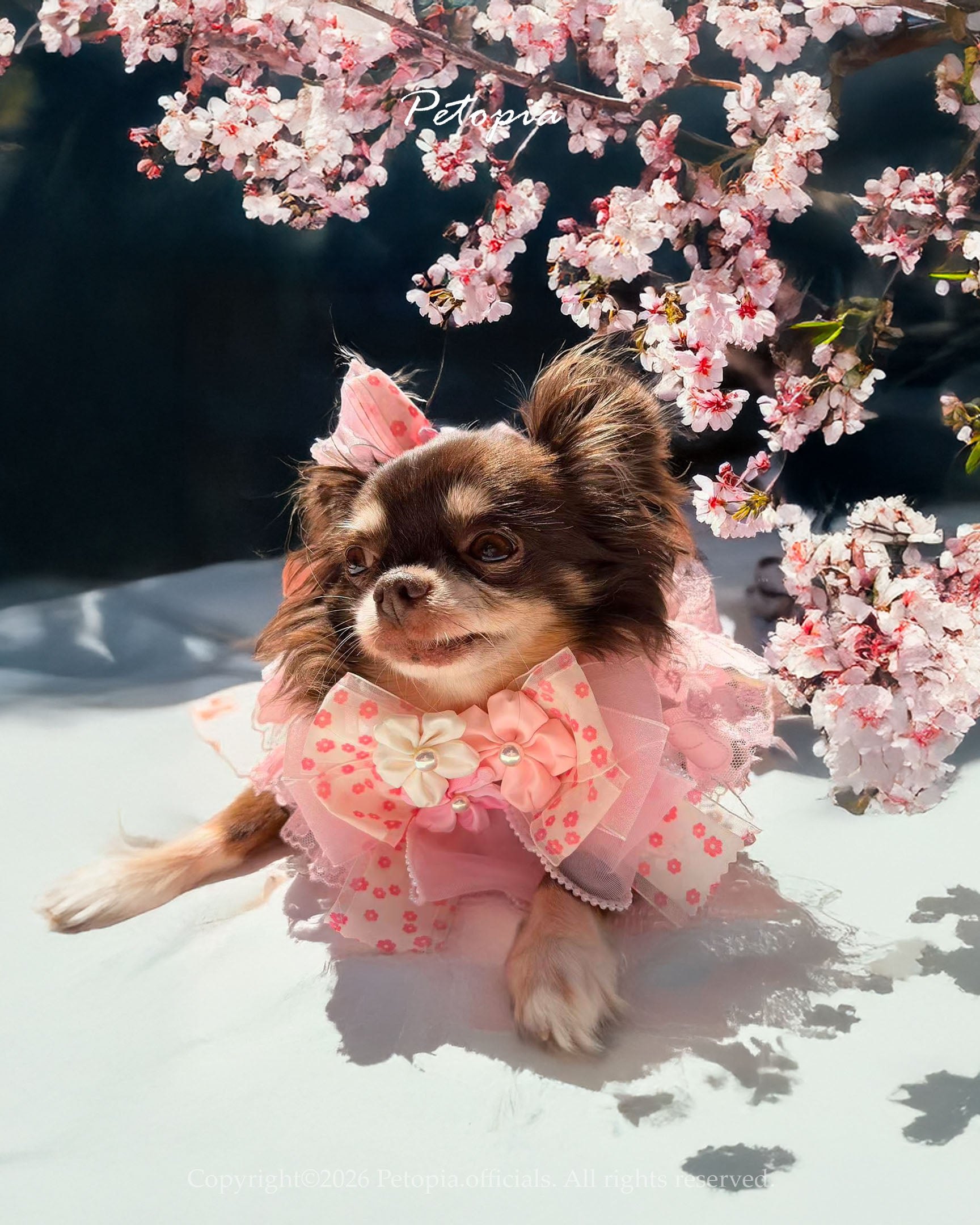 Sakura Blizzard